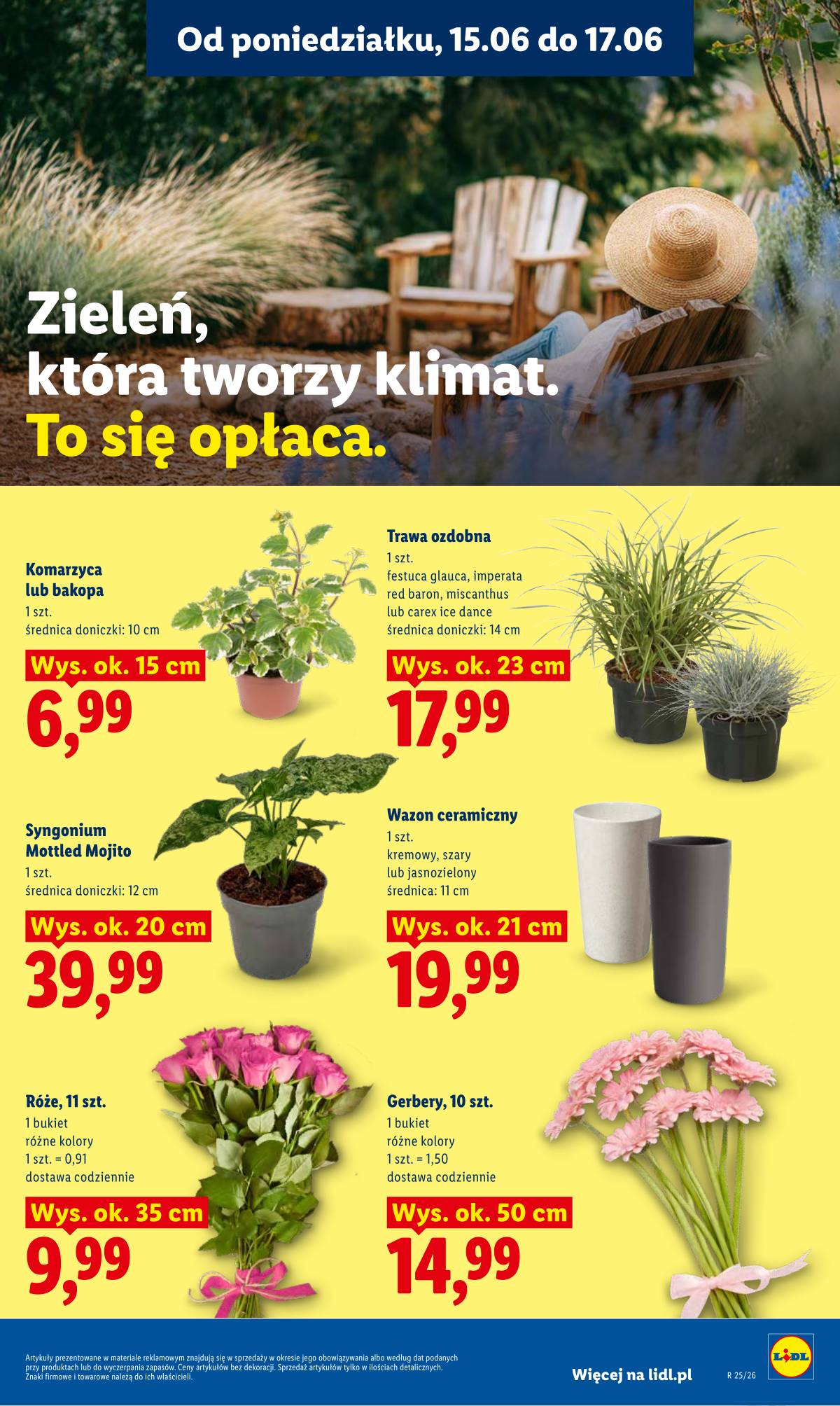 Lidl Lenkija - Gazetka ważna od 15.06 do 17.06 97 puslapis