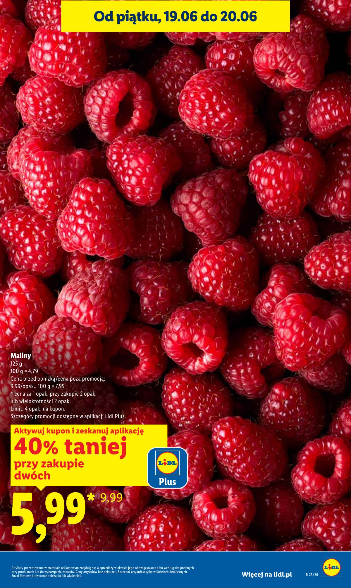 Lidl Lenkija - Gazetka ważna od 18.06 do 20.06 5 puslapis