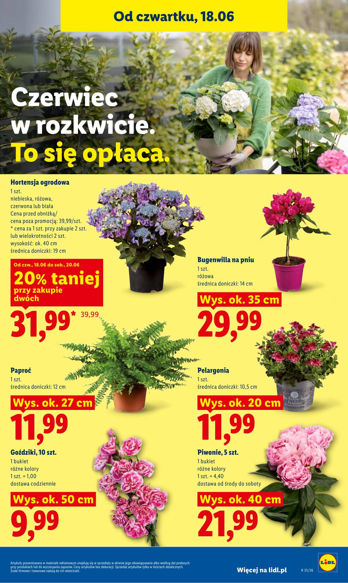 Lidl Lenkija - Gazetka ważna od 18.06 do 20.06 79 puslapis