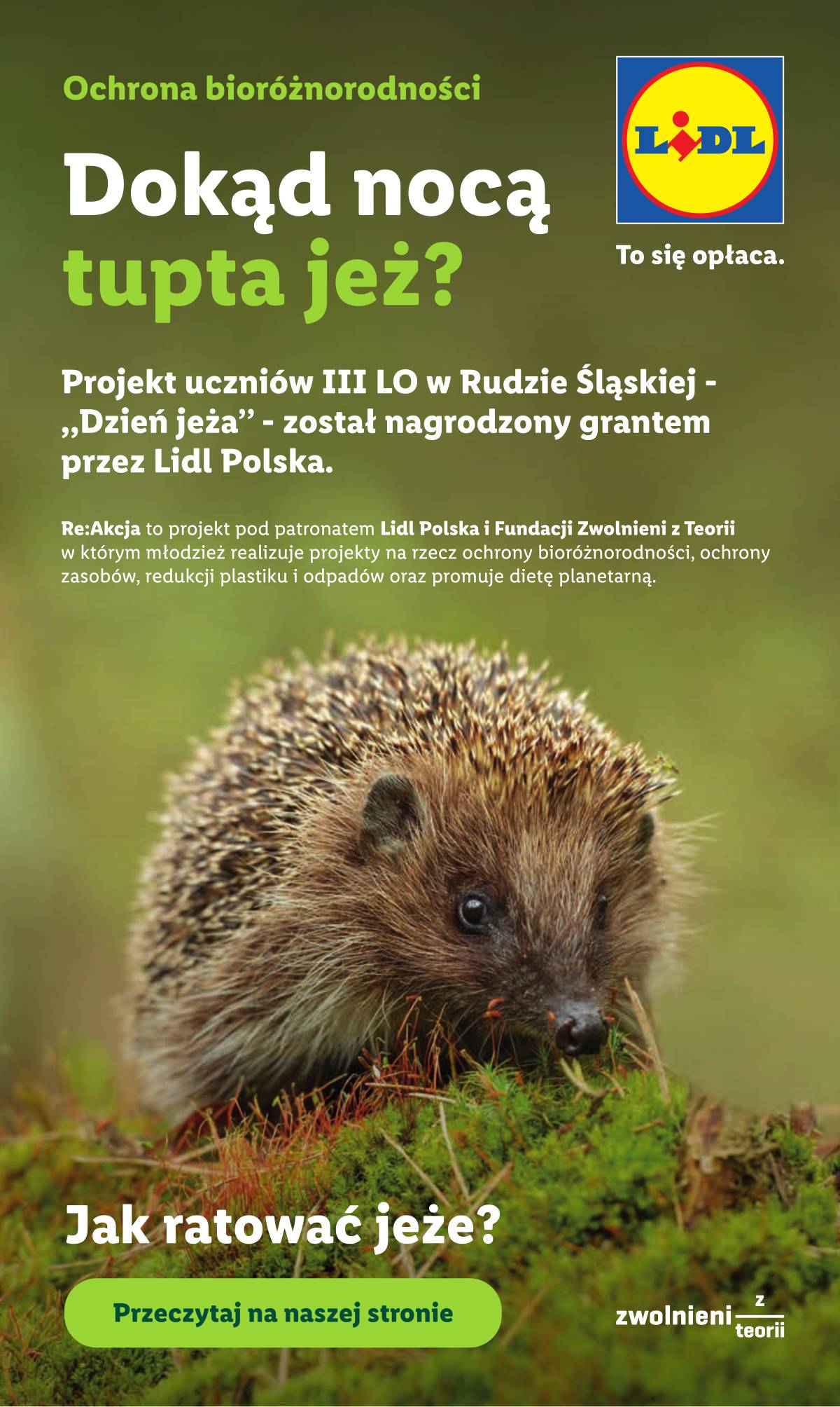 Lidl Lenkija - Gazetka ważna od 18.06 do 20.06 89 puslapis