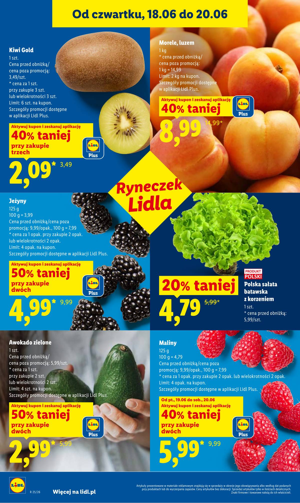 Lidl Lenkija - Gazetka ważna od 18.06 do 20.06 42 puslapis