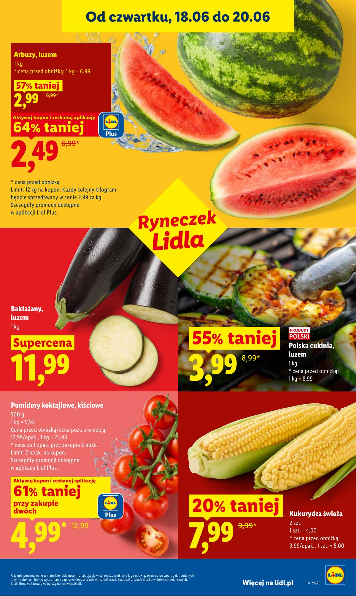 Lidl Lenkija - Gazetka ważna od 18.06 do 20.06 43 puslapis