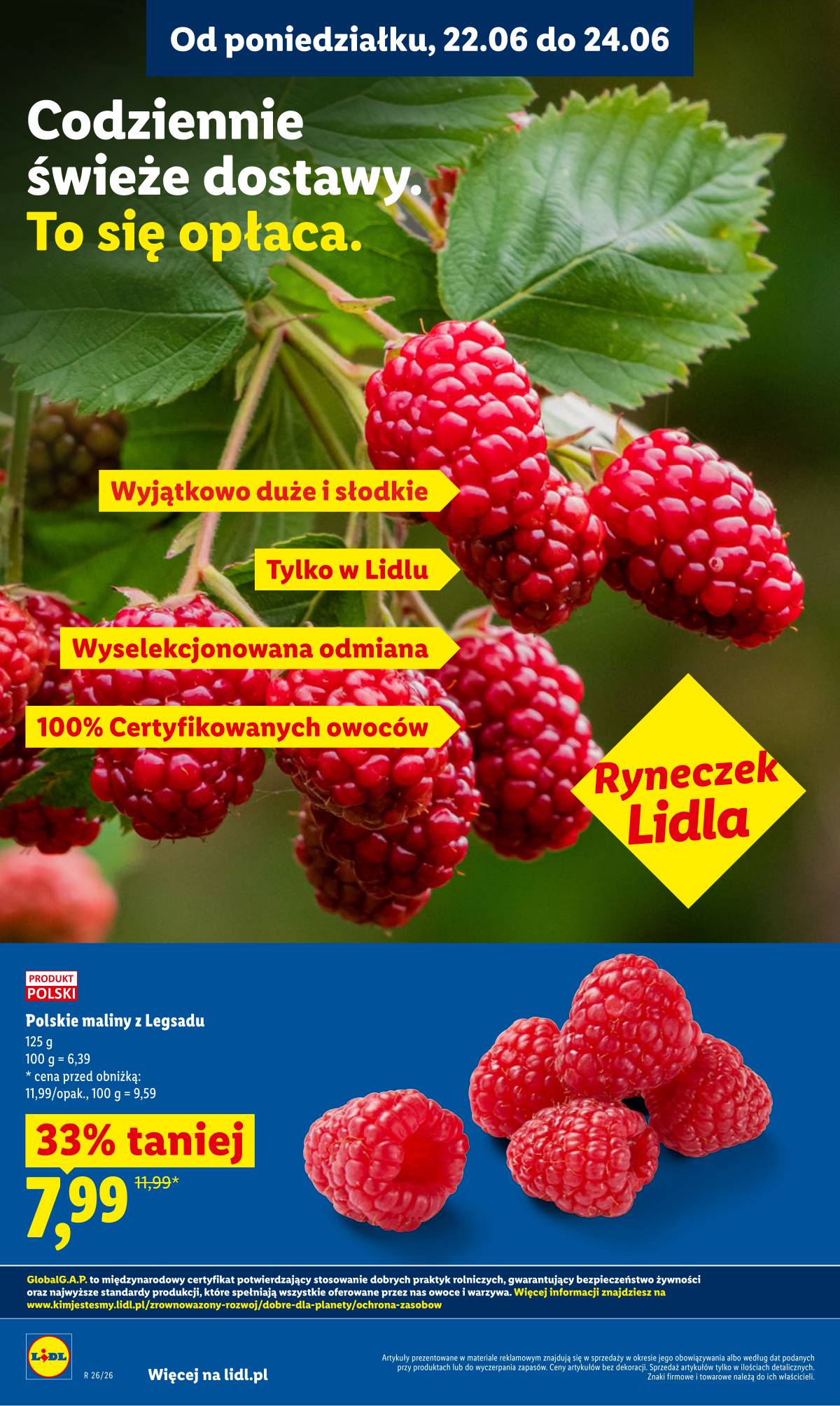 Lidl Lenkija - Gazetka ważna od 22.06 do 24.06 36 puslapis
