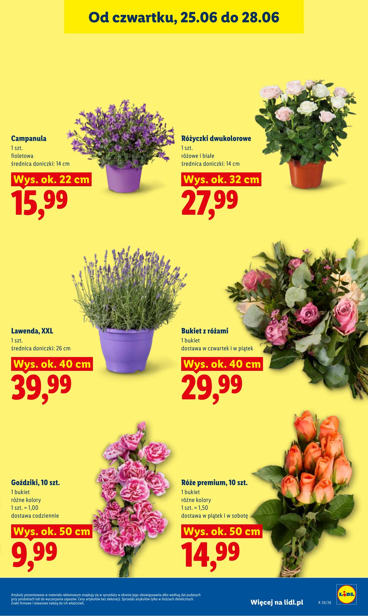 Lidl Lenkija - Gazetka ważna od 25.06 do 28.06 41 puslapis