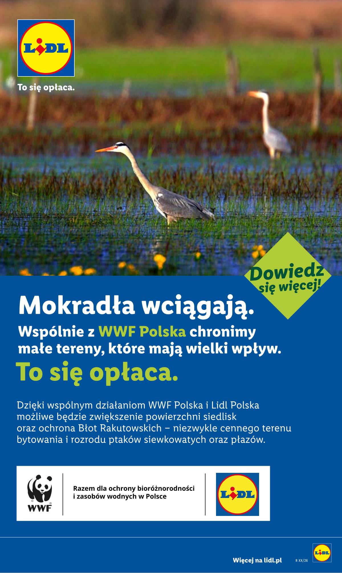 Lidl Lenkija - Gazetka ważna od 29.06 do 1.07 84 puslapis