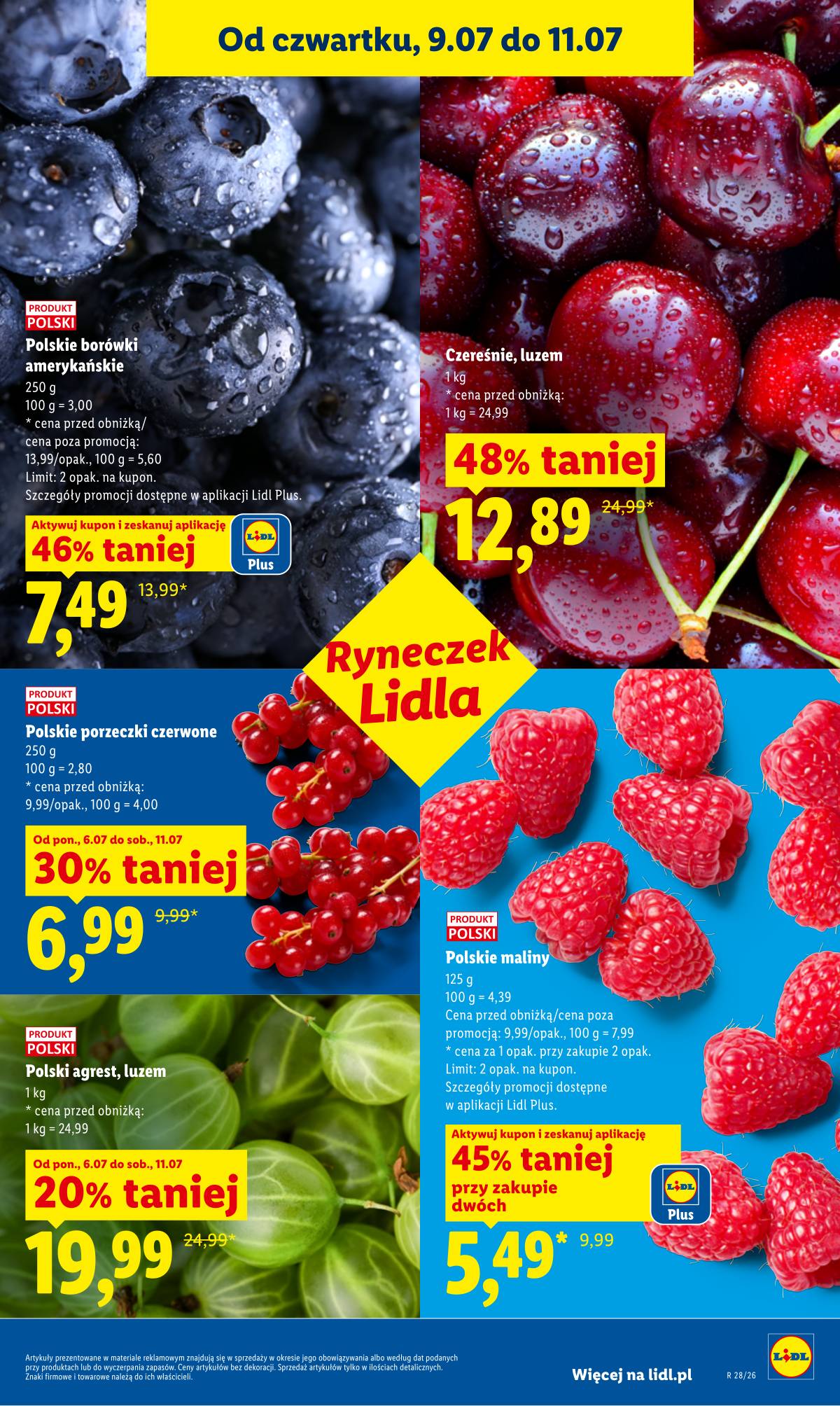 Lidl Lenkija - Gazetka ważna od 9.07 do 11.07 43 puslapis