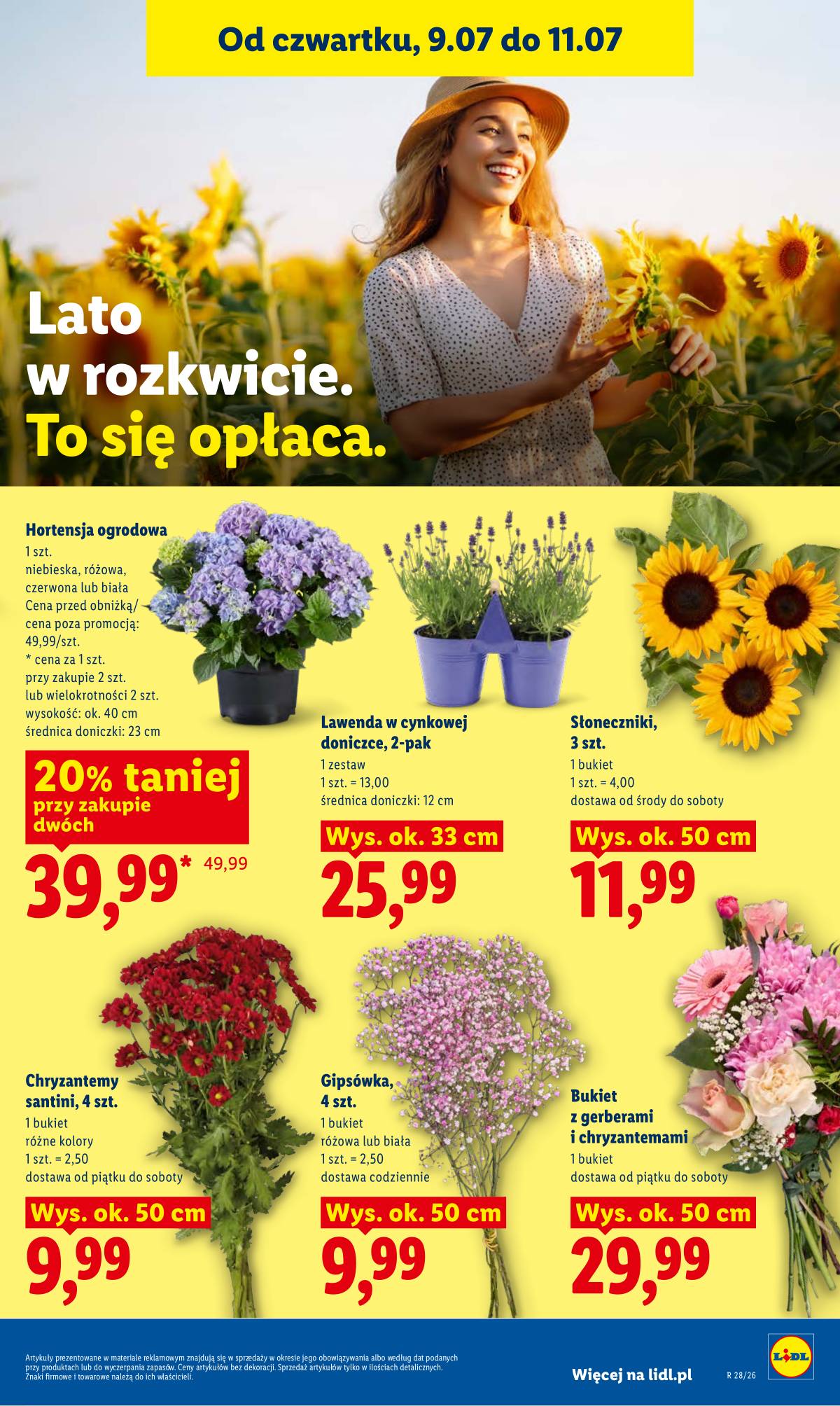 Lidl Lenkija - Gazetka ważna od 9.07 do 11.07 87 puslapis