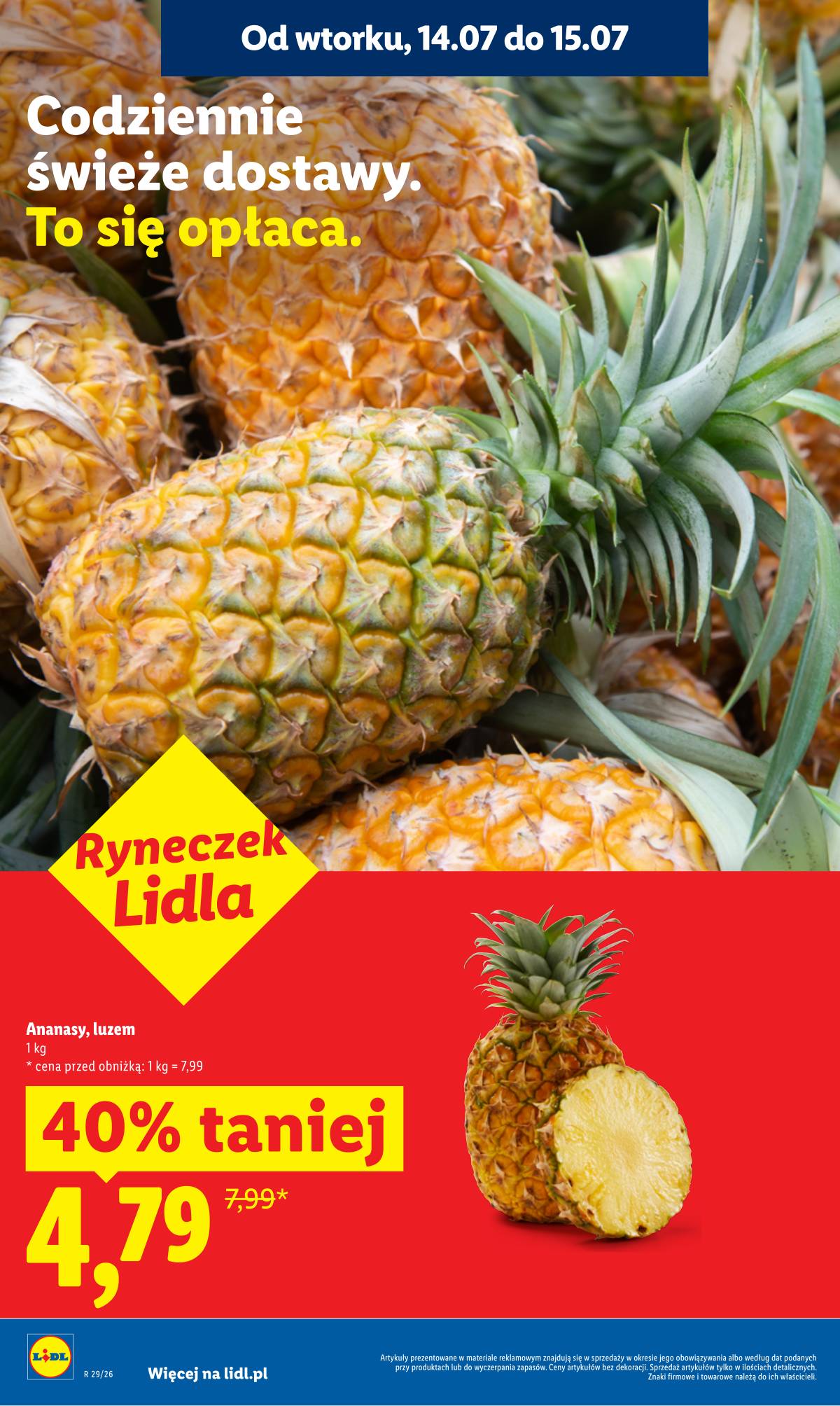 Lidl Lenkija - Gazetka ważna od 13.07 do 15.07 10 puslapis
