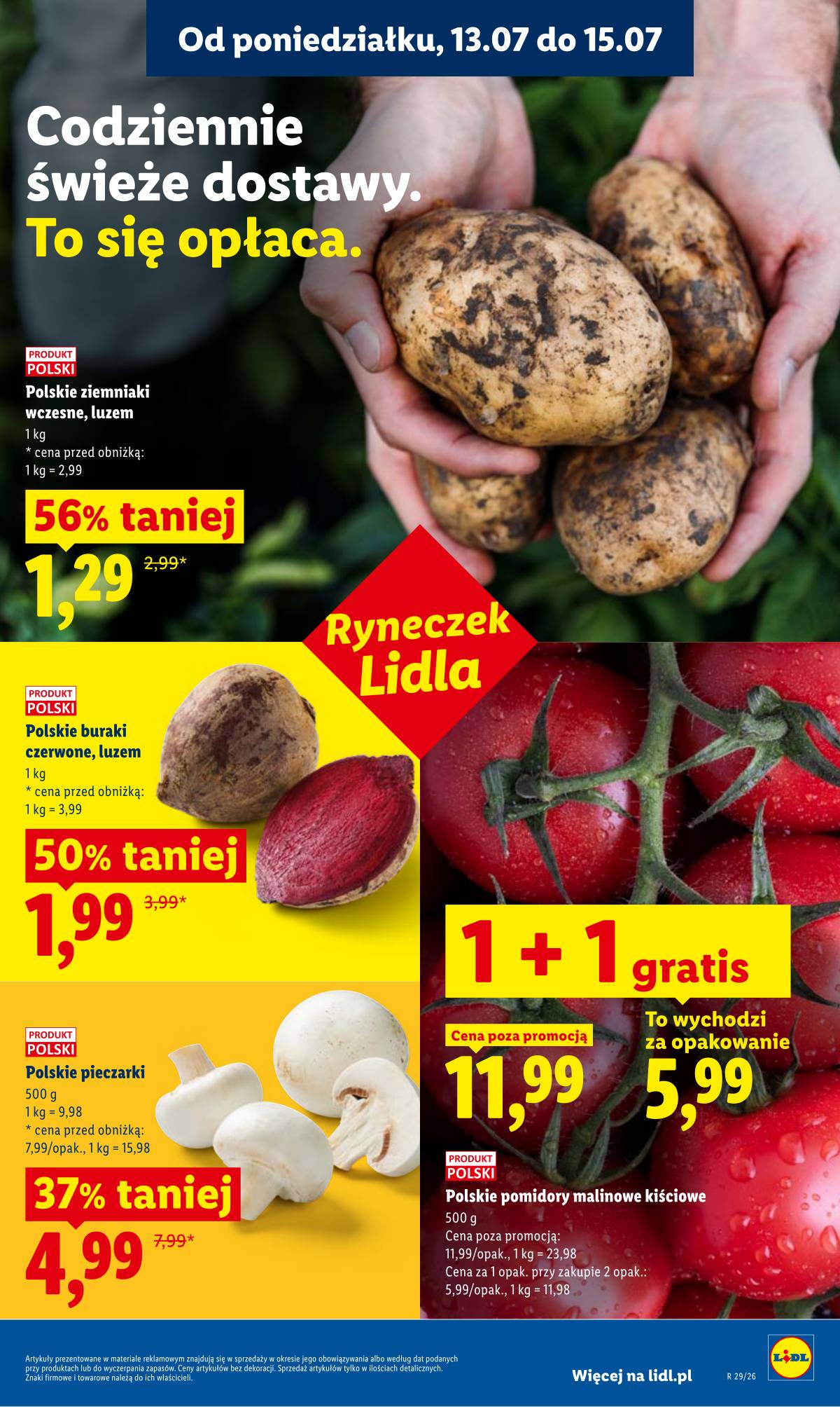 Lidl Lenkija - Gazetka ważna od 13.07 do 15.07 43 puslapis