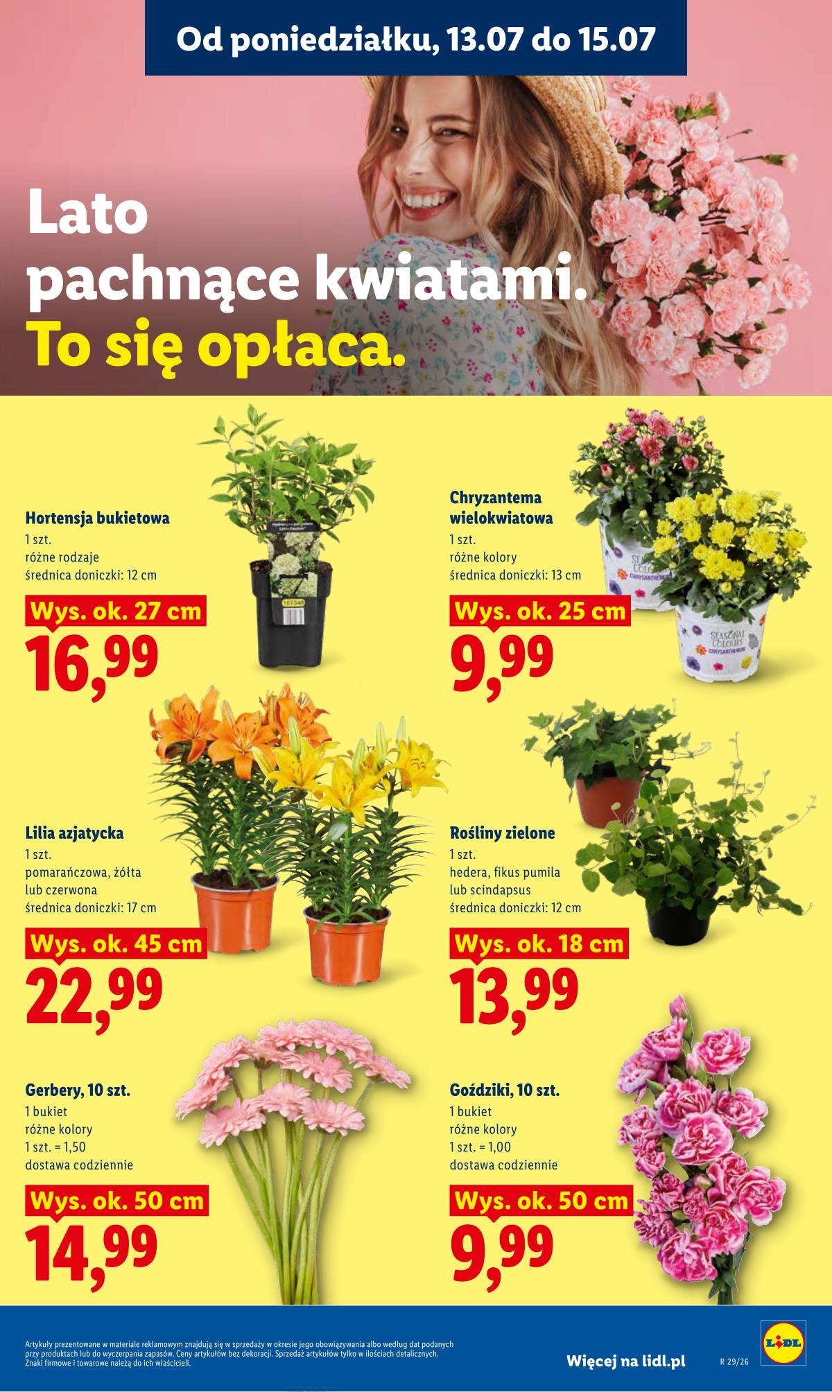 Lidl Lenkija - Gazetka ważna od 13.07 do 15.07 87 puslapis