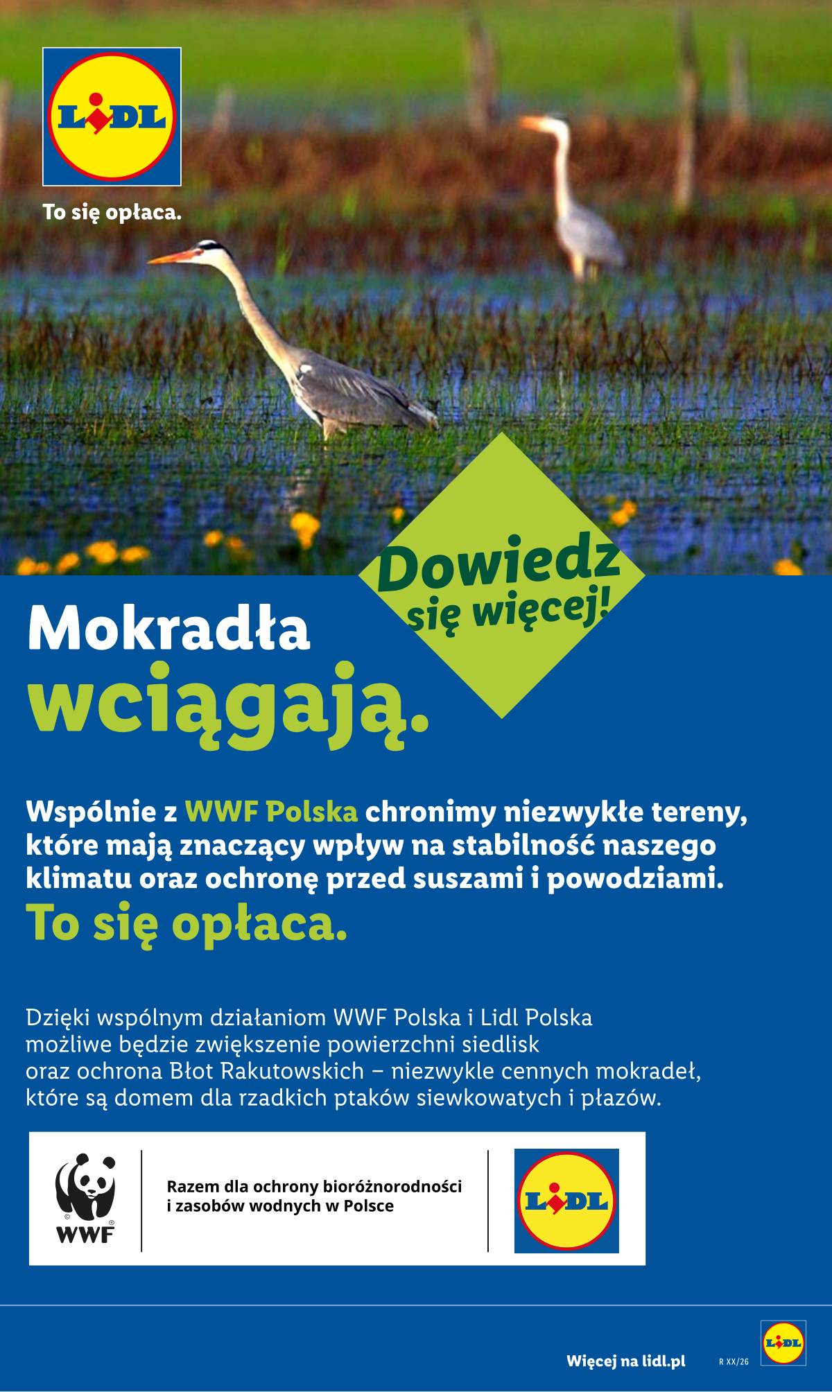 Lidl Lenkija - Gazetka ważna od 16.07 do 18.07 100 puslapis
