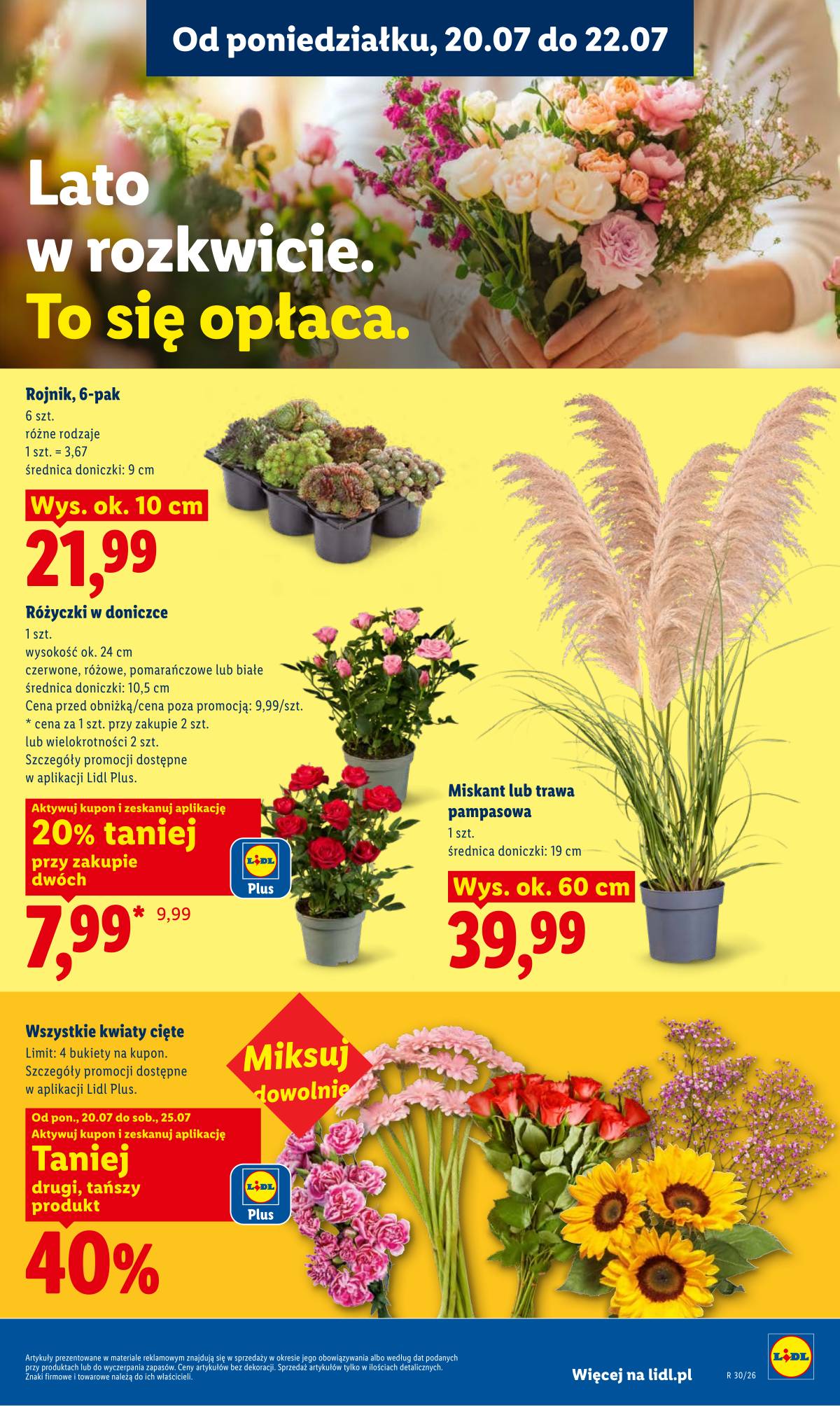 Lidl Lenkija - Gazetka ważna od 20.07 do 22.07 99 puslapis