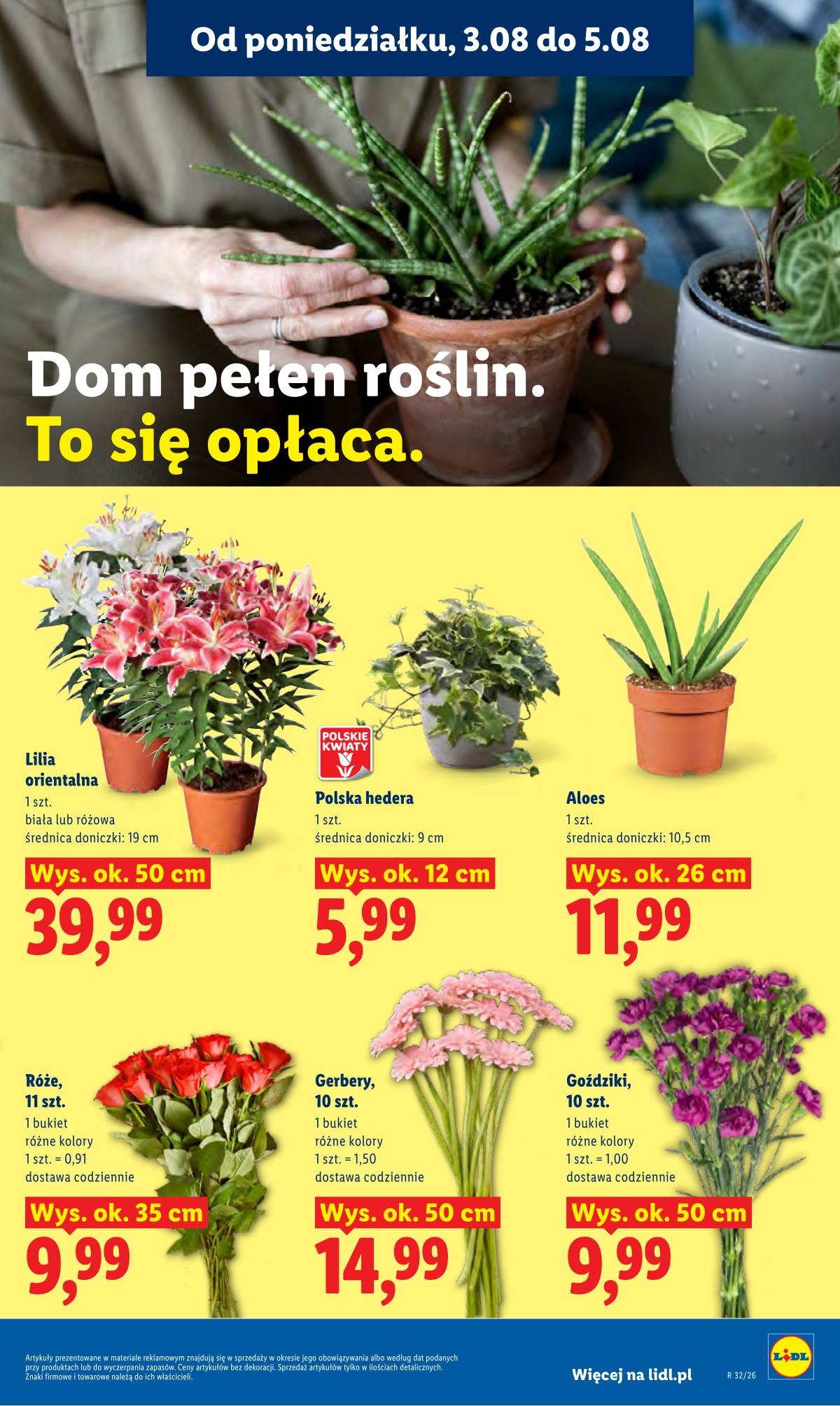 Lidl Lenkija - Gazetka ważna od 3.08 do 5.08 91 puslapis