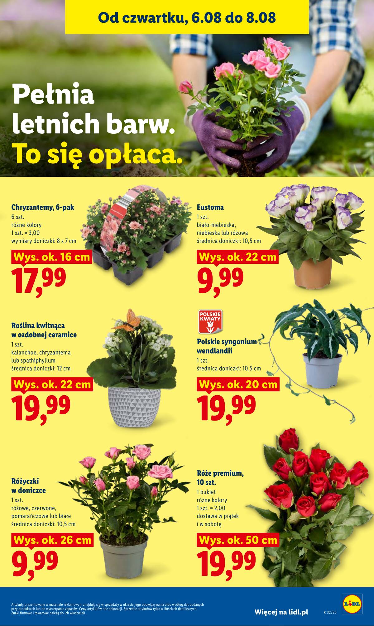 Lidl Lenkija - Gazetka ważna od 6.08 do 8.08 87 puslapis