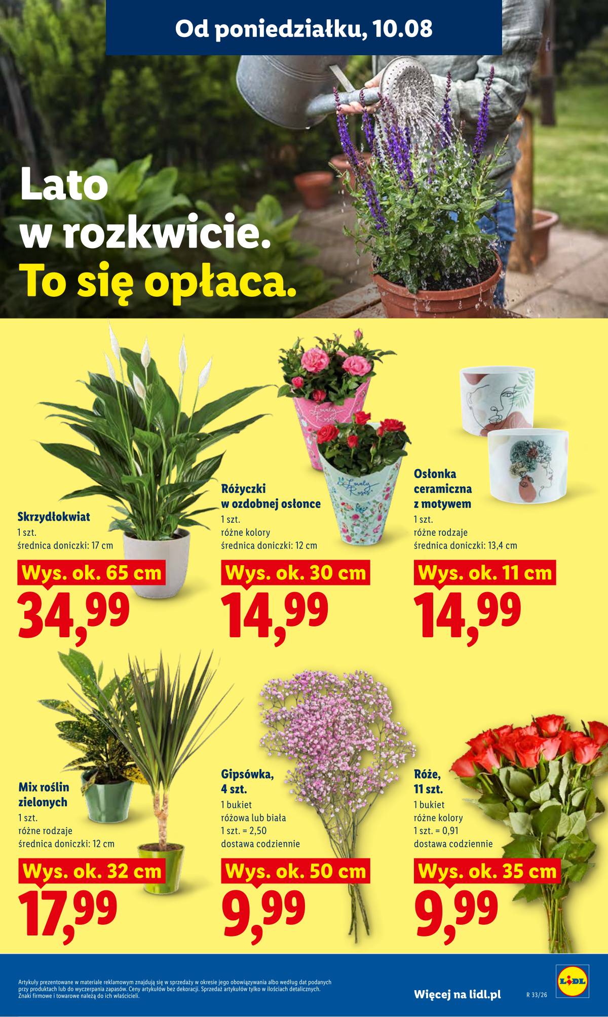 Lidl Lenkija - Gazetka ważna od 10.08 do 11.08 93 puslapis