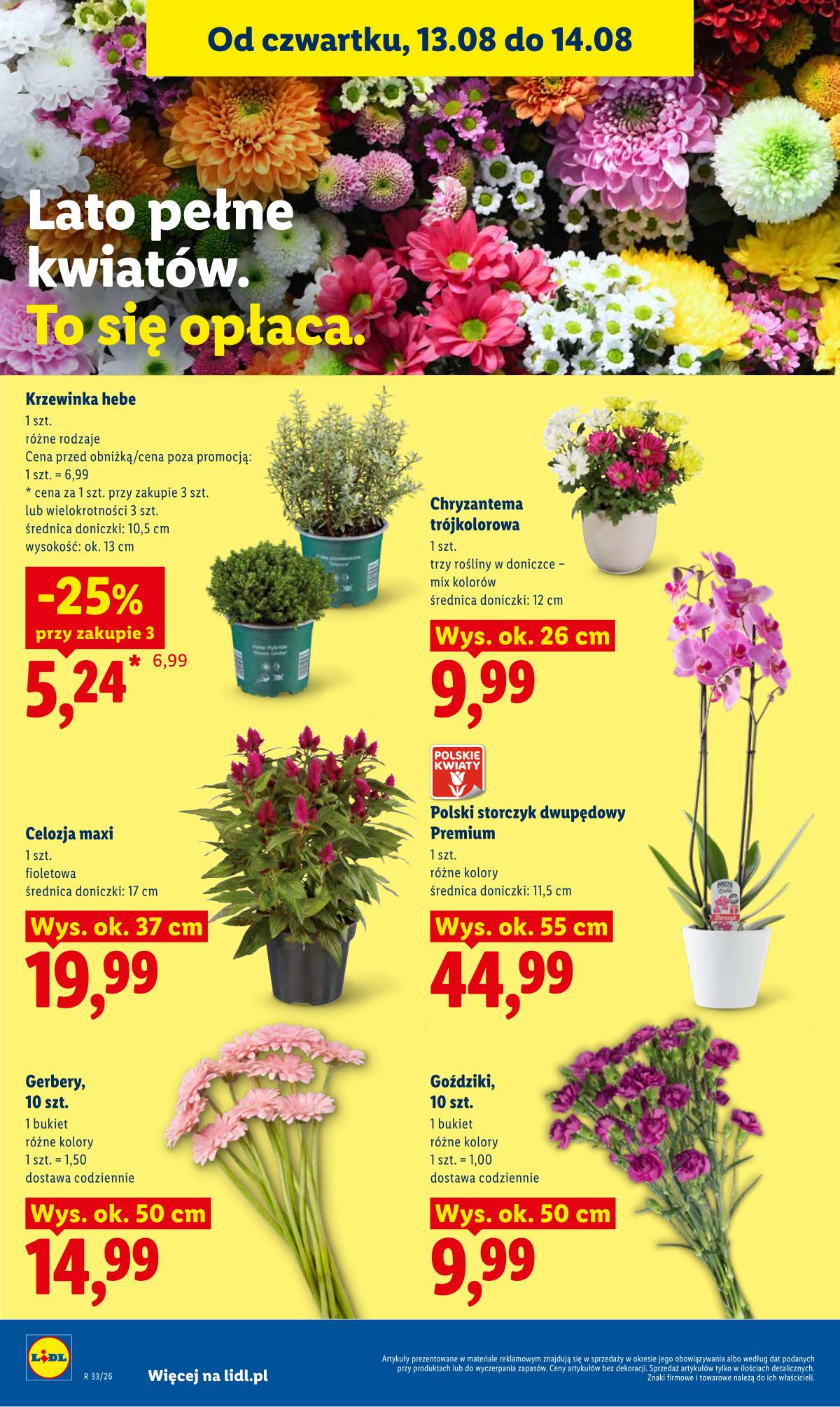 Lidl Lenkija - Gazetka ważna od 12.08 do 14.08 86 puslapis