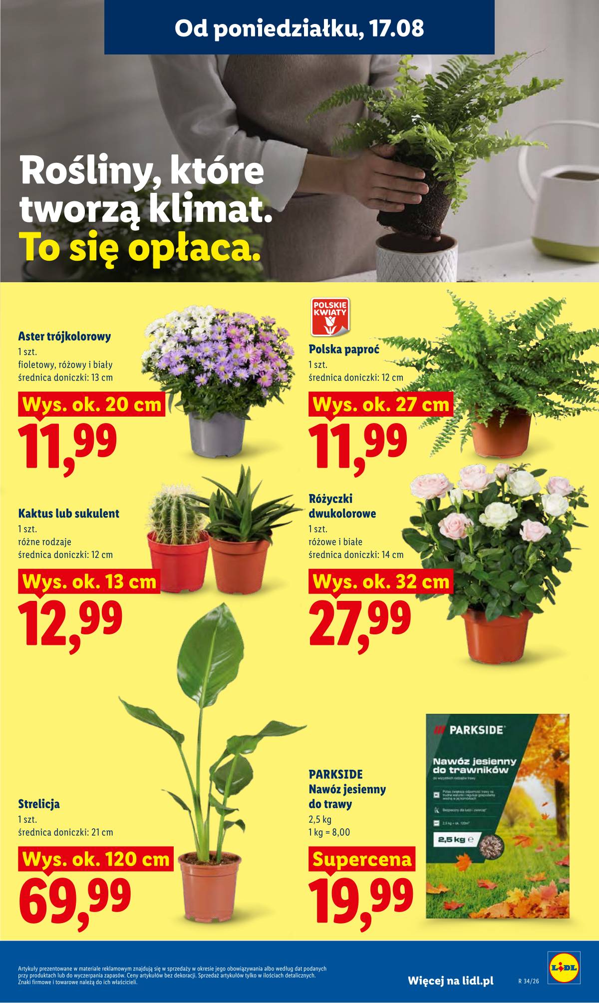 Lidl Lenkija - Gazetka ważna od 17.08 do 19.08 77 puslapis