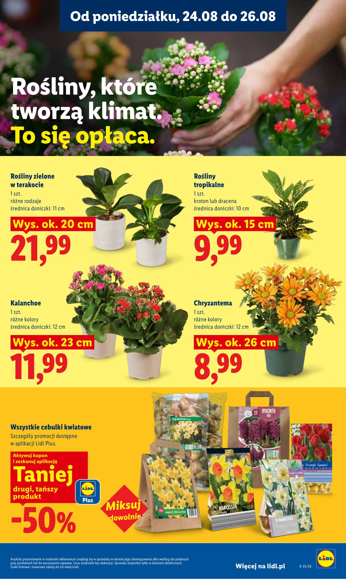 Lidl Lenkija - Gazetka ważna od 24.08 do 26.08 85 puslapis
