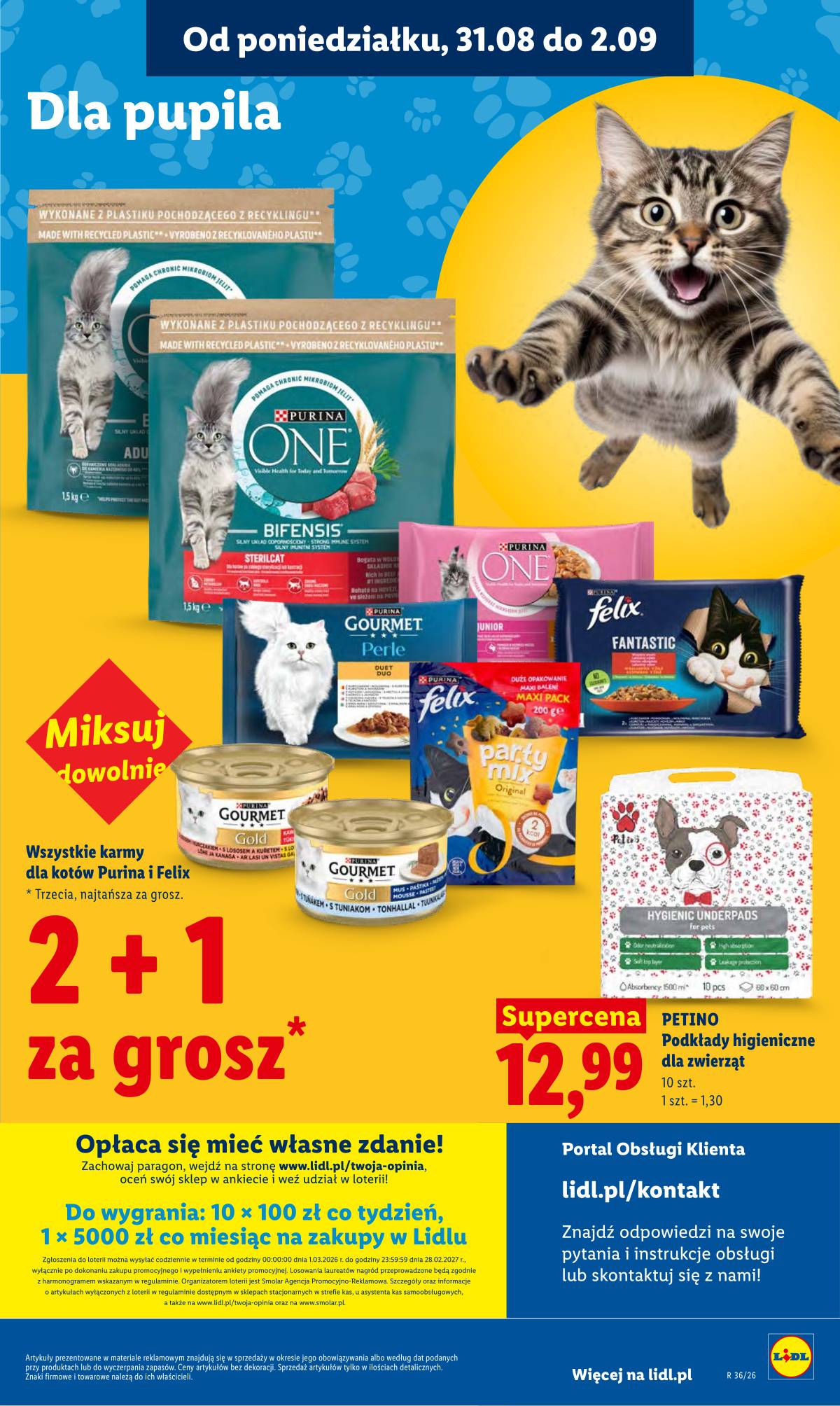 Lidl Lenkija - Gazetka ważna od 31.08 do 2.09 85 puslapis