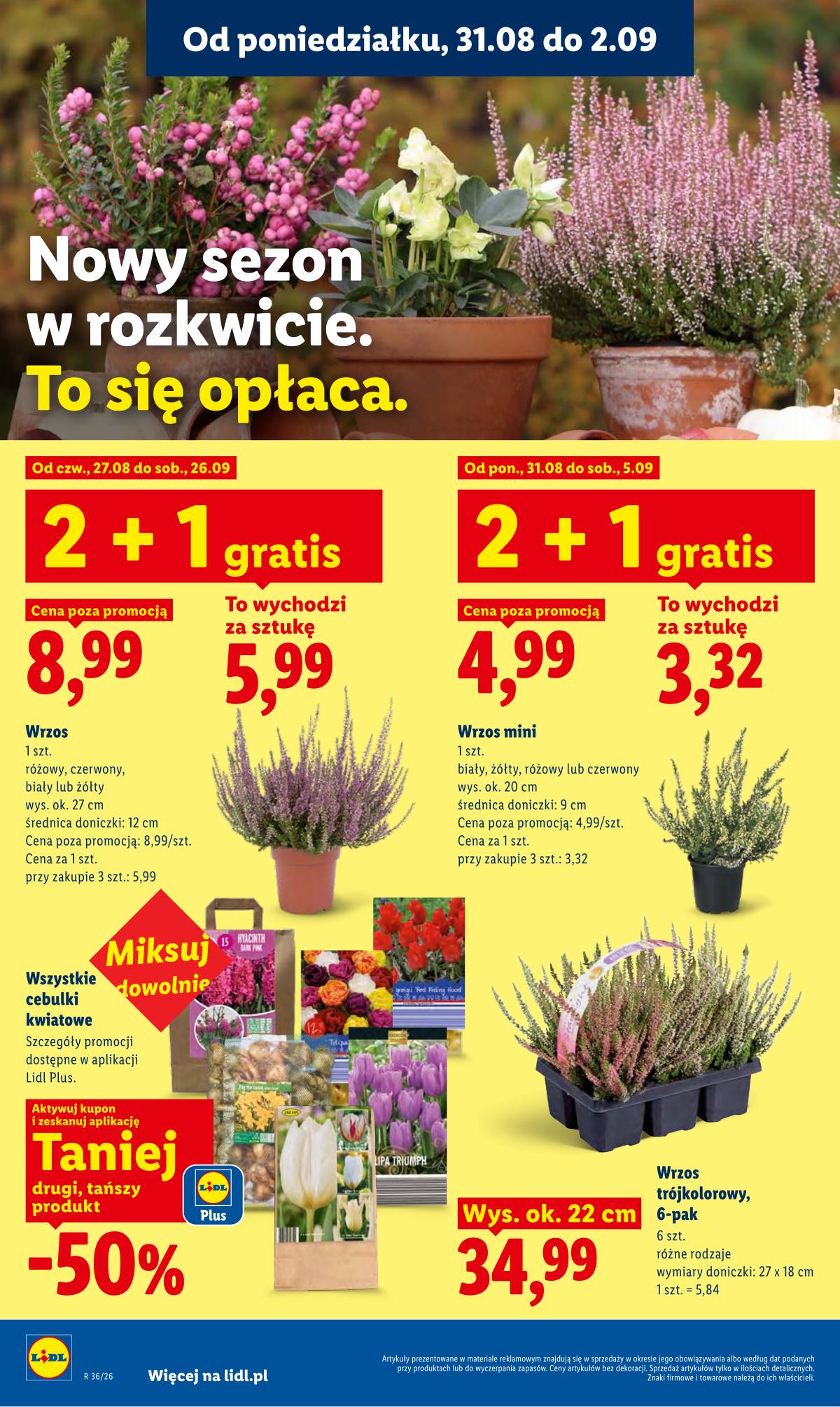Lidl Lenkija - Gazetka ważna od 31.08 do 2.09 86 puslapis