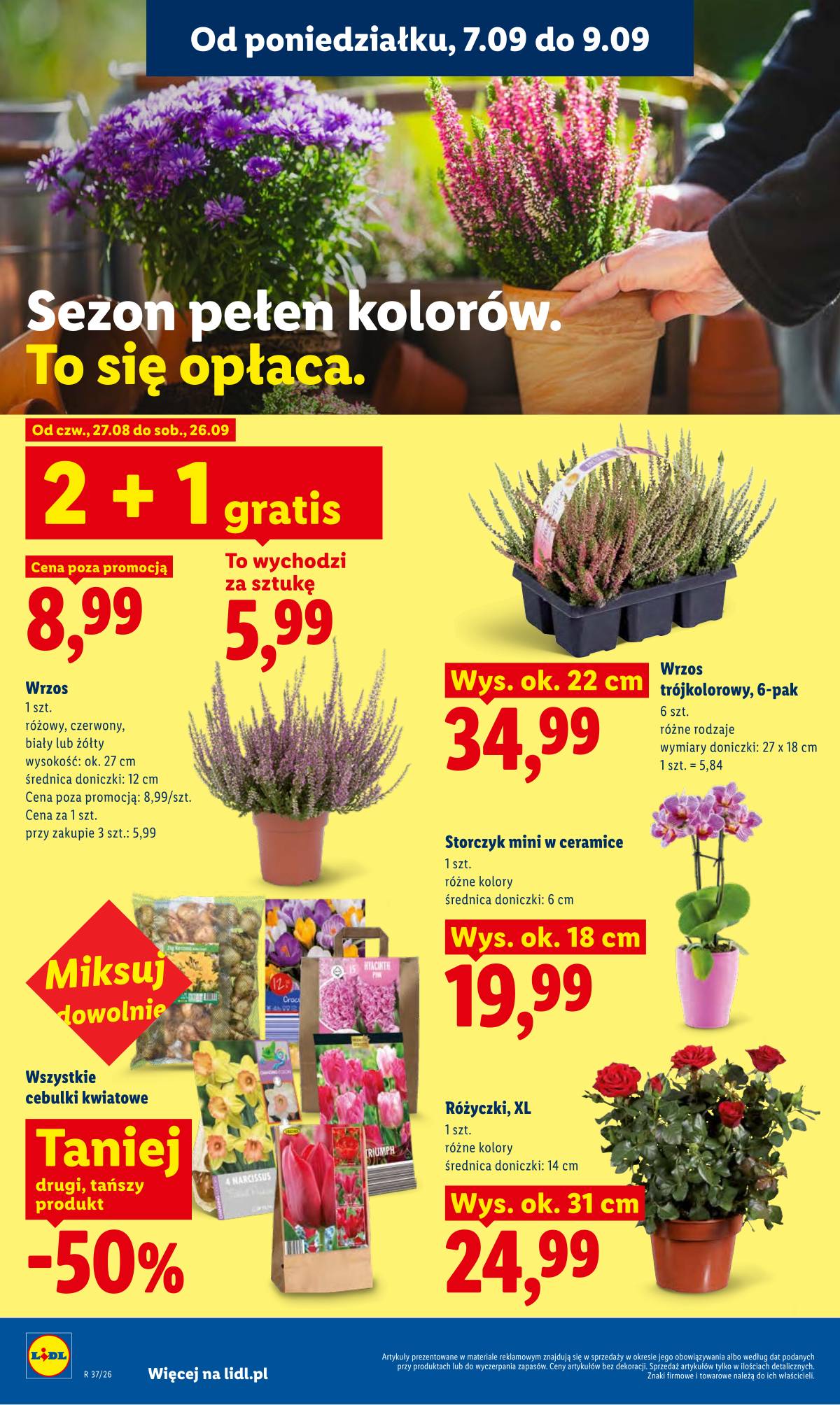 Lidl Lenkija - Gazetka ważna od 7.09 do 9.09 82 puslapis