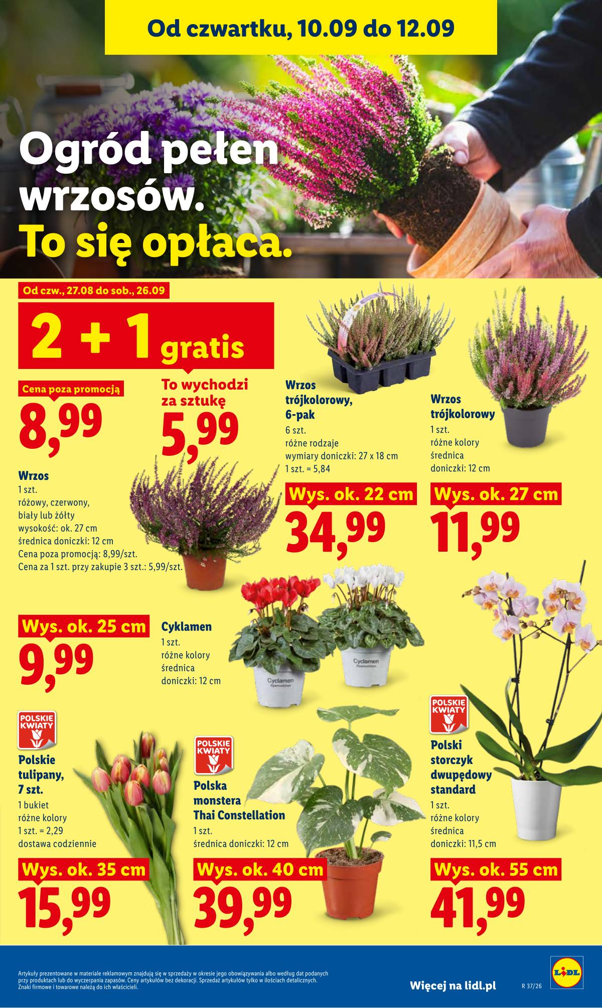 Lidl Lenkija - Gazetka ważna od 10.09 do 12.09 83 puslapis