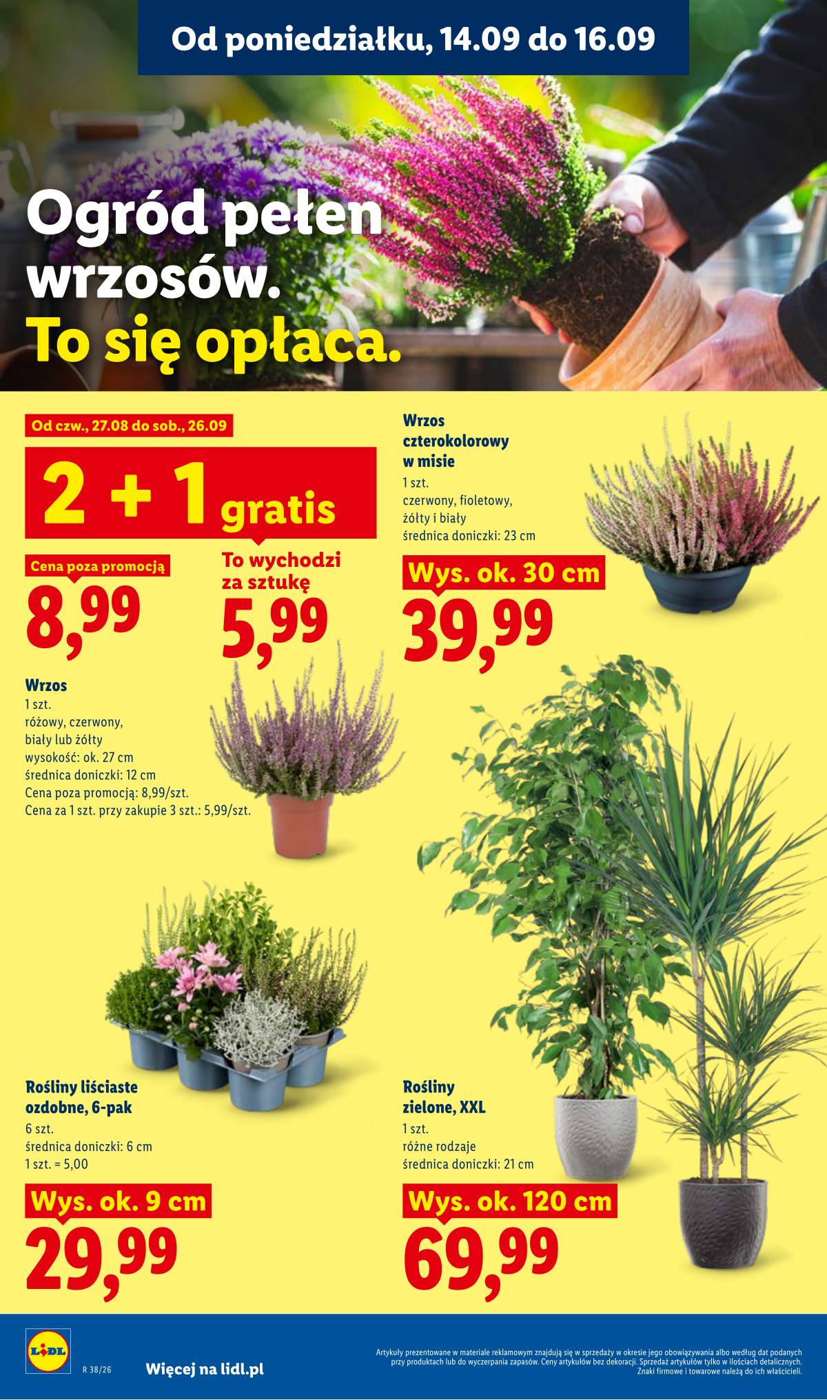 Lidl Lenkija - Gazetka ważna od 14.09 do 16.09 78 puslapis