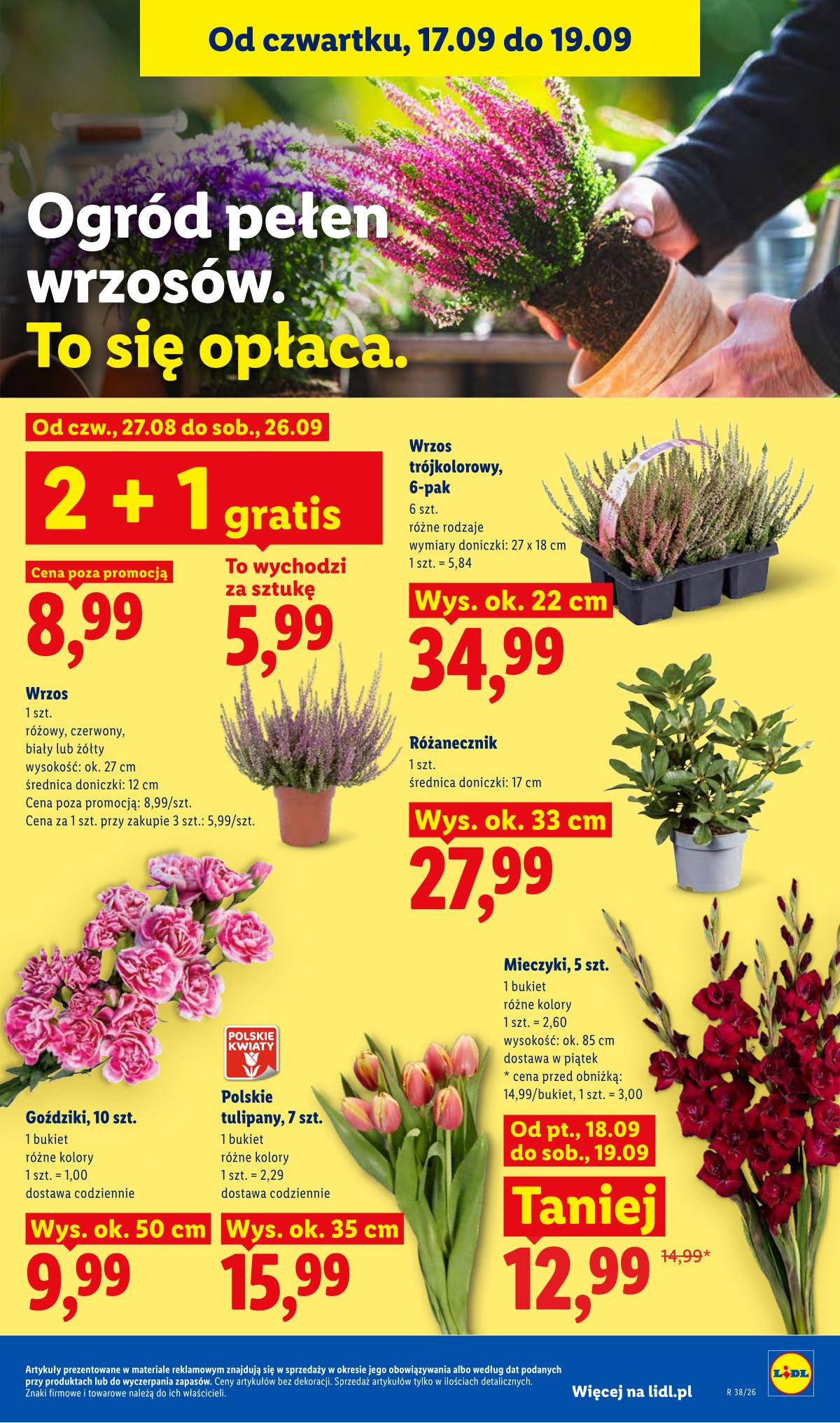Lidl Lenkija - Gazetka ważna od 17.09 do 19.09 85 puslapis