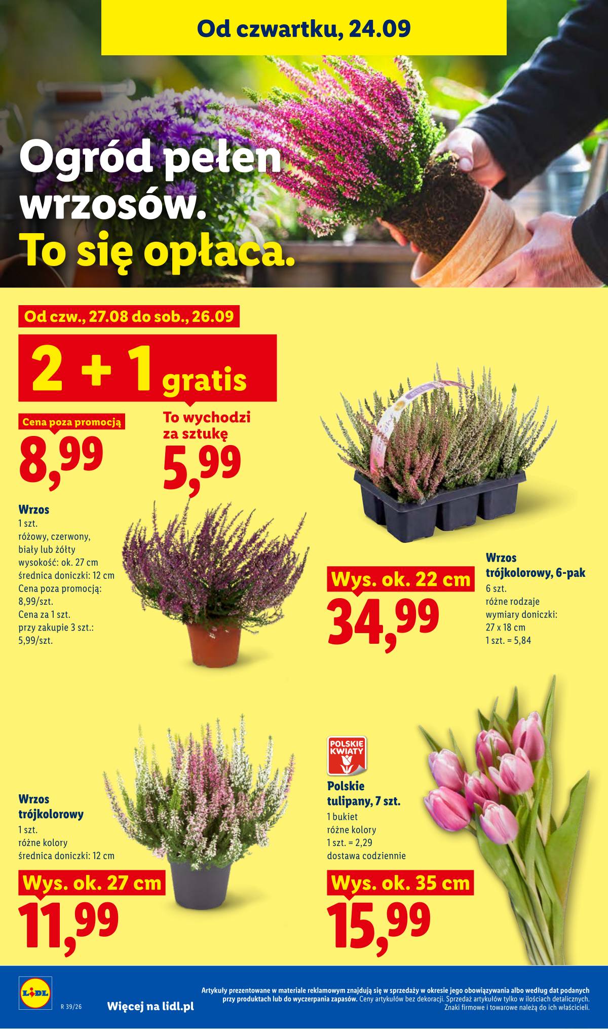 Lidl Lenkija - Gazetka ważna od 24.09 do 26.09 100 puslapis