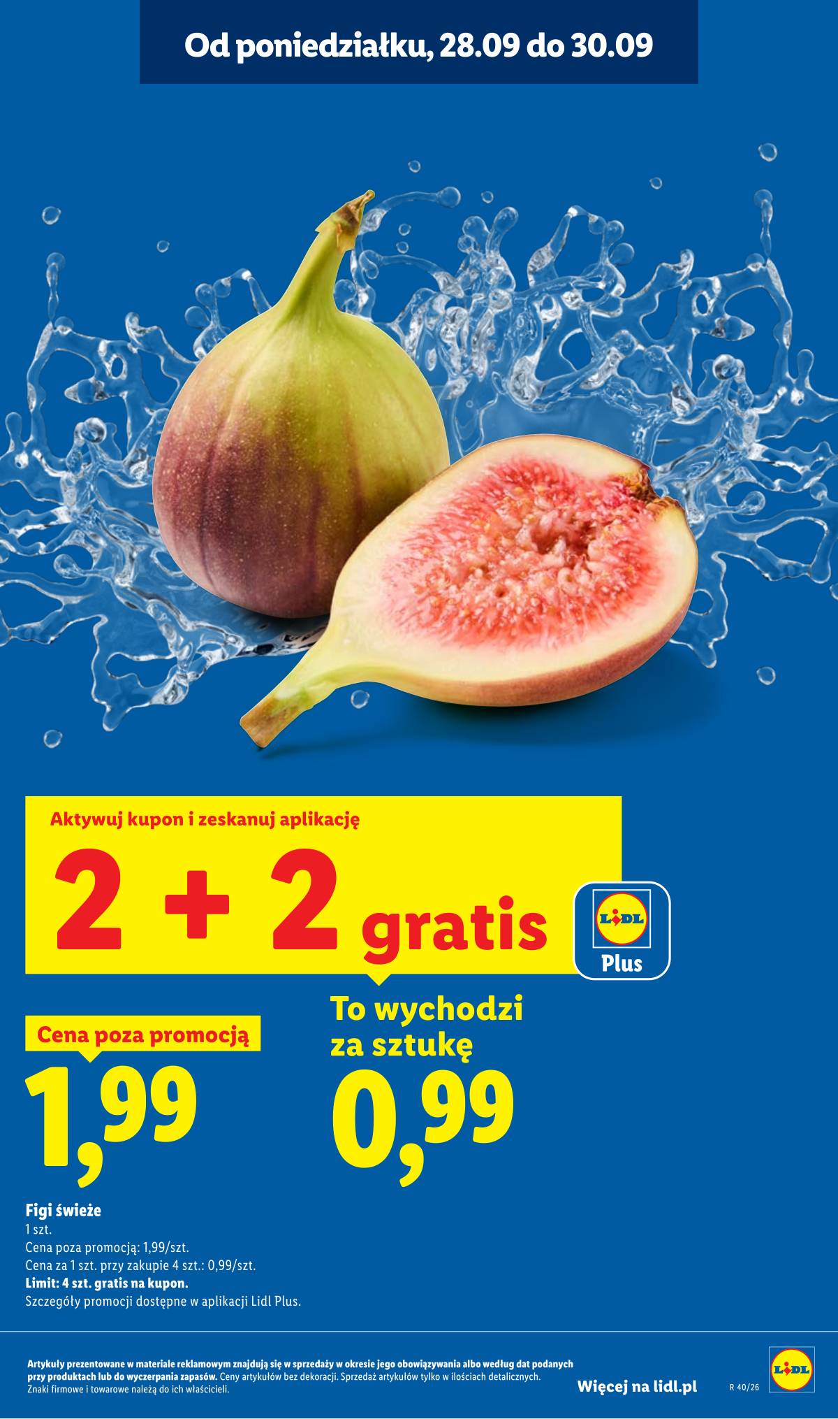 Lidl Lenkija - Gazetka ważna od 28.09 do 30.09 13 puslapis