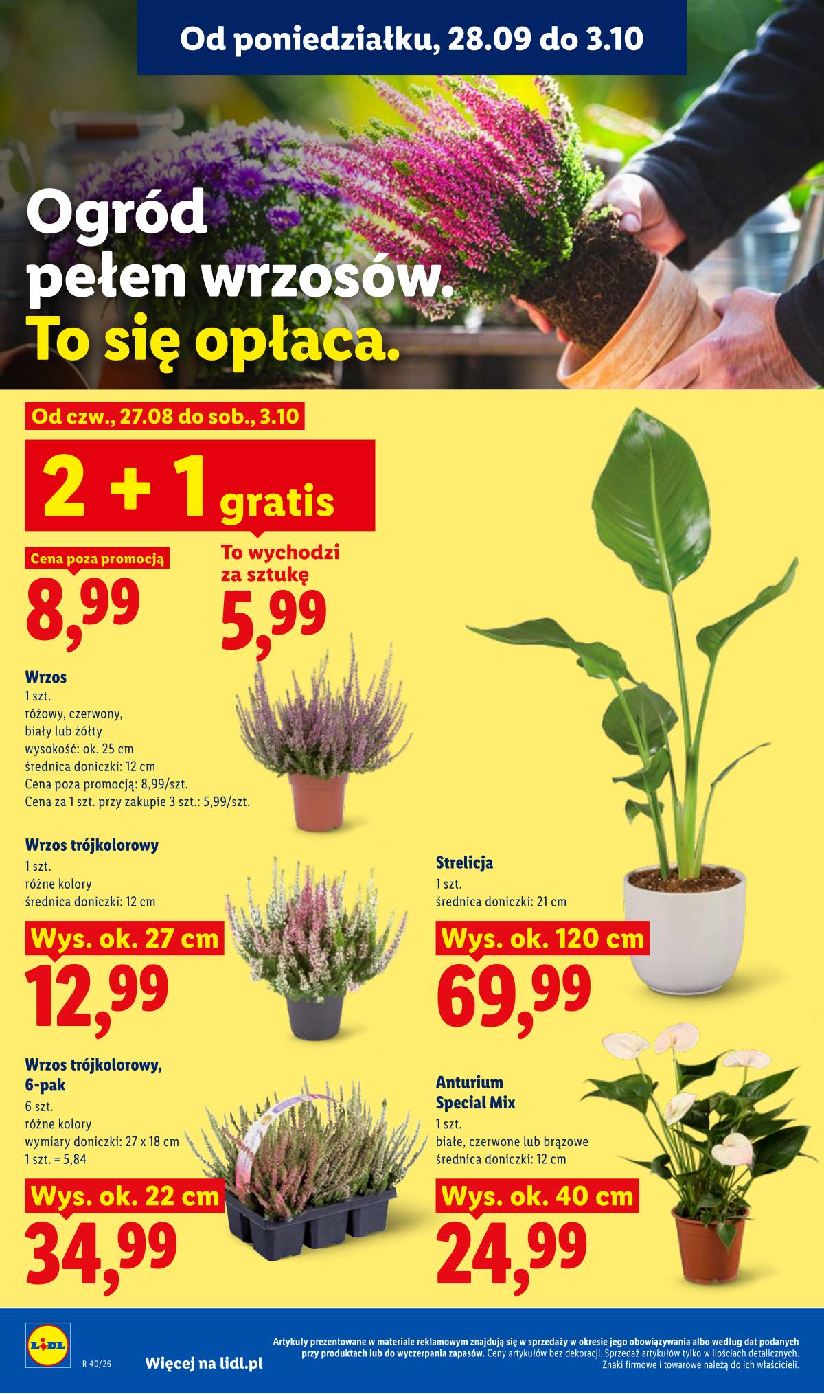 Lidl Lenkija - Gazetka ważna od 28.09 do 30.09 88 puslapis
