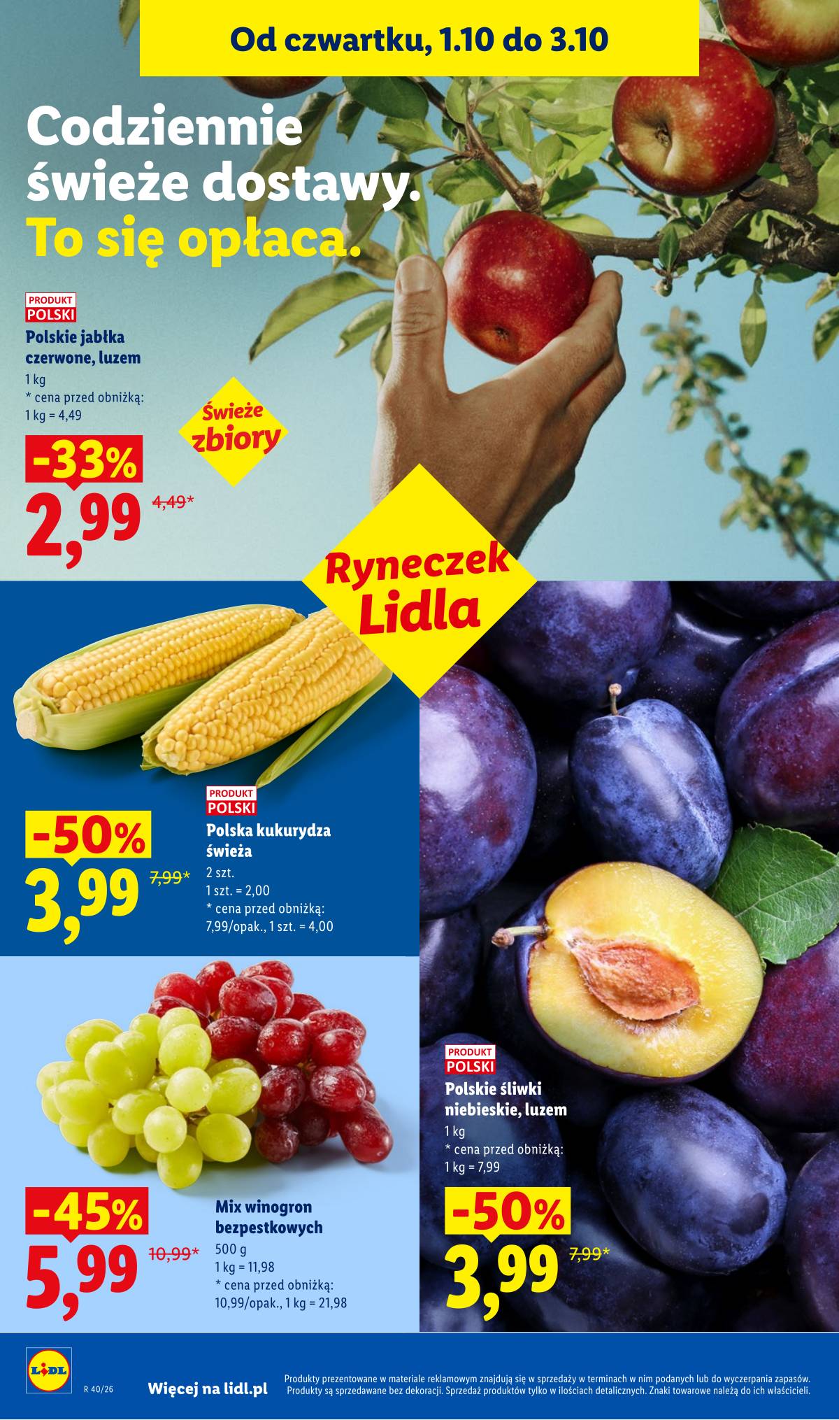 Lidl Lenkija - Gazetka ważna od 1.10 do 3.10 48 puslapis