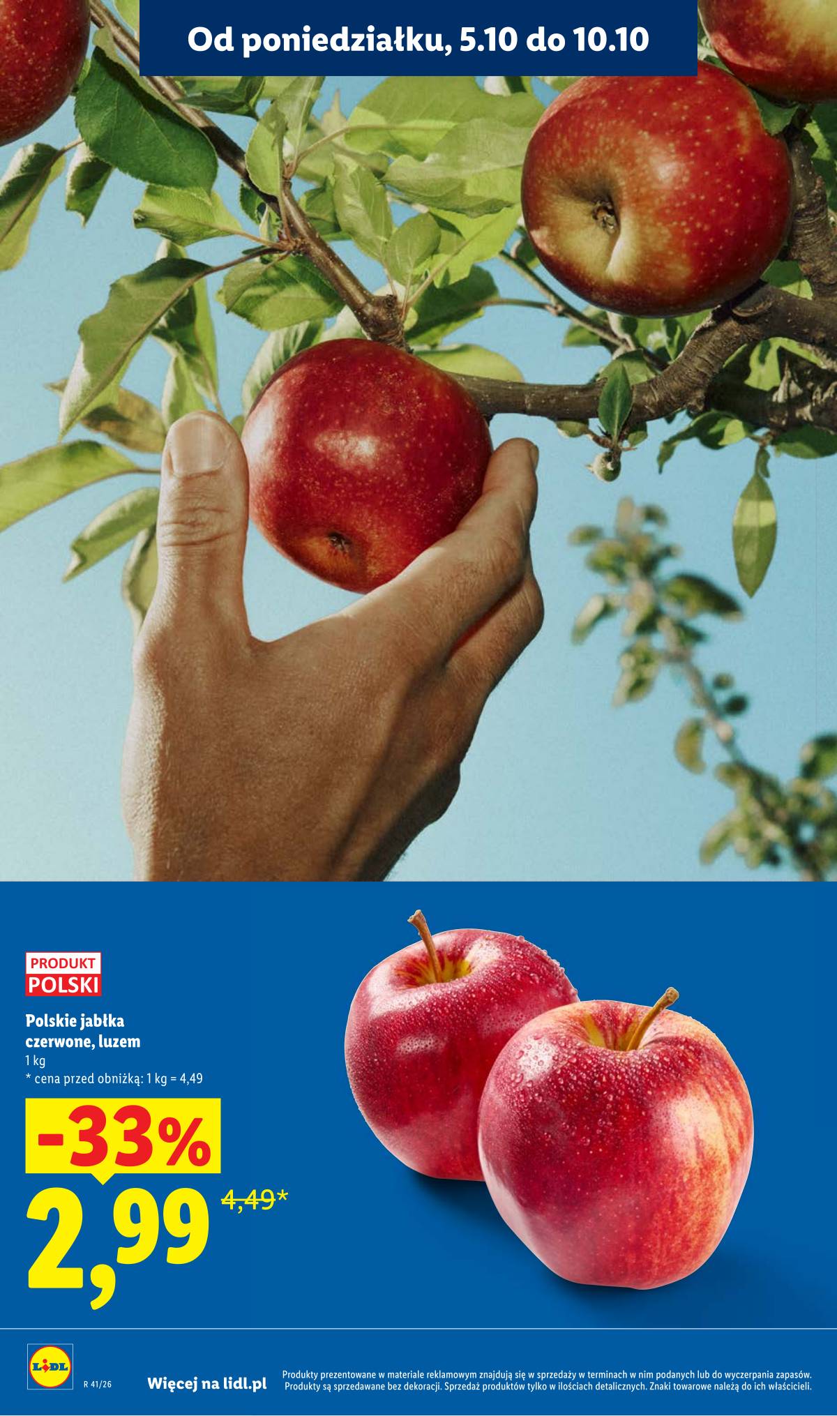 Lidl Lenkija - Gazetka 10 puslapis