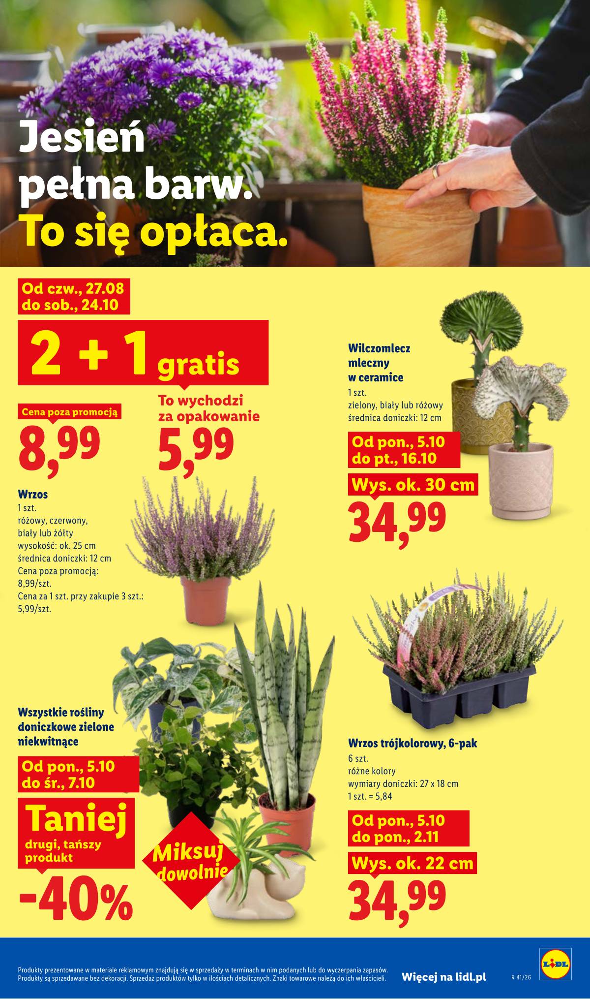 Lidl Lenkija - Gazetka 89 puslapis