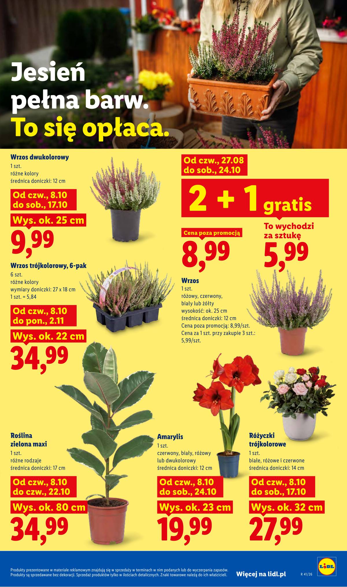 Lidl Lenkija - Gazetka 85 puslapis