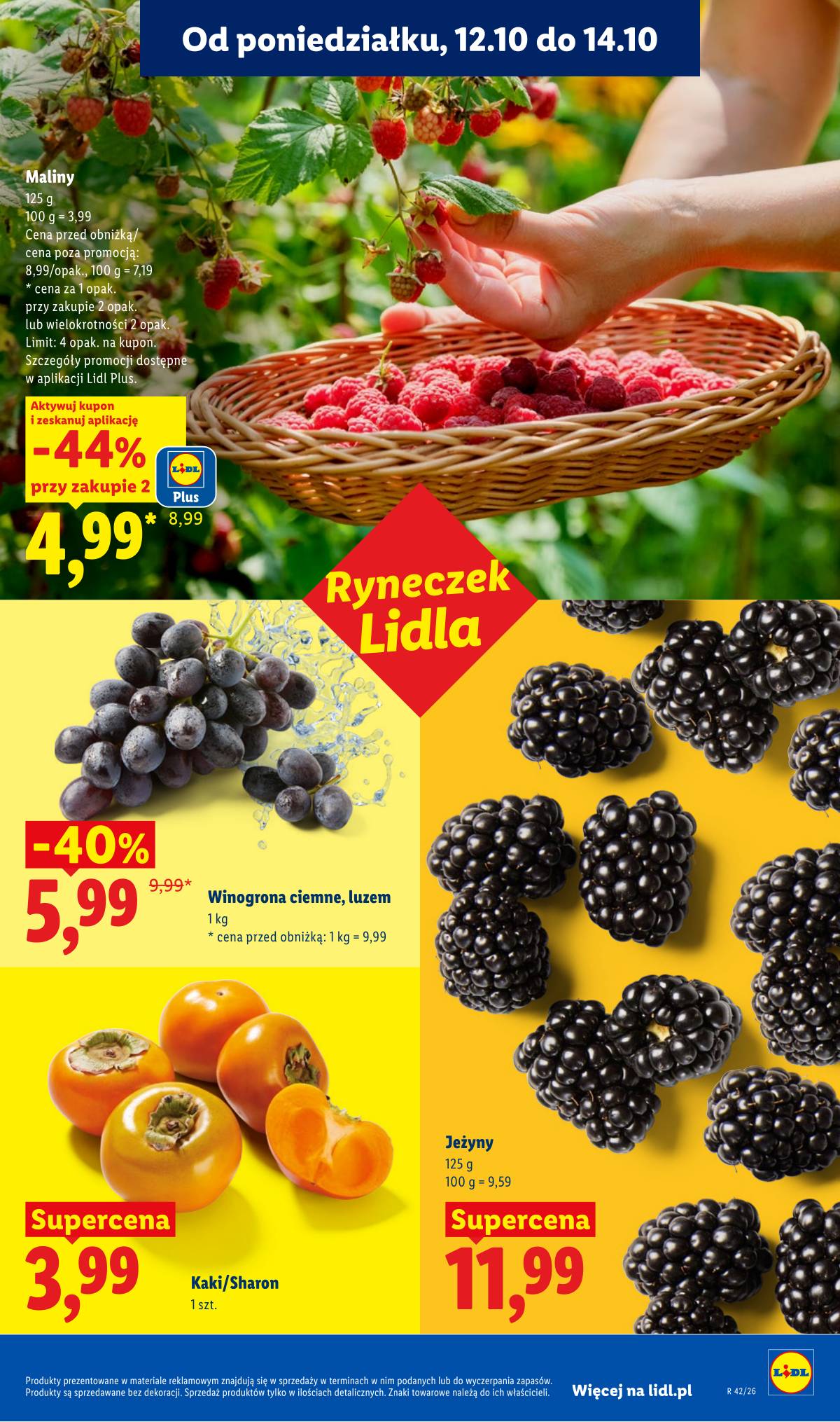 Lidl Lenkija - Gazetka 51 puslapis