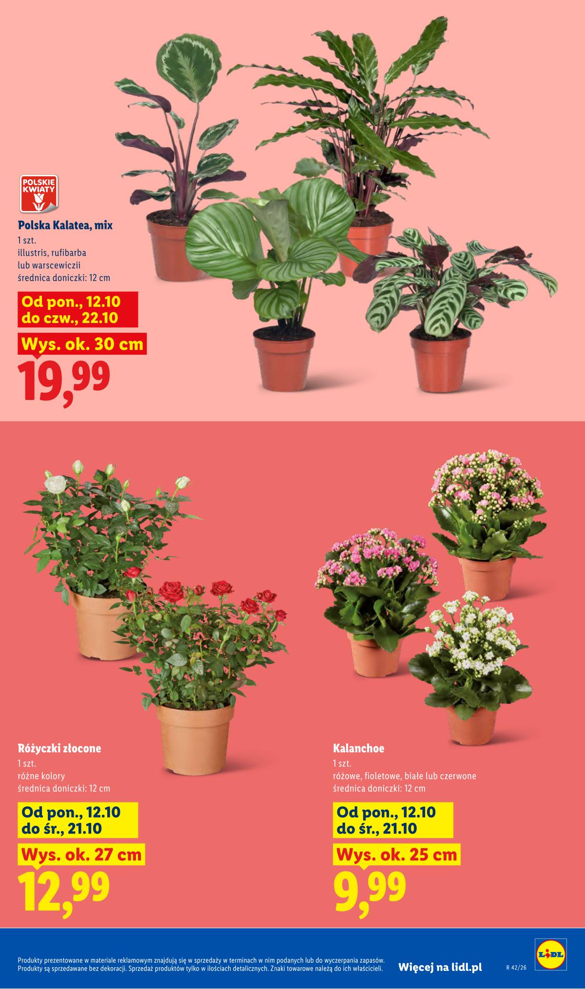 Lidl Lenkija - Gazetka 9 puslapis