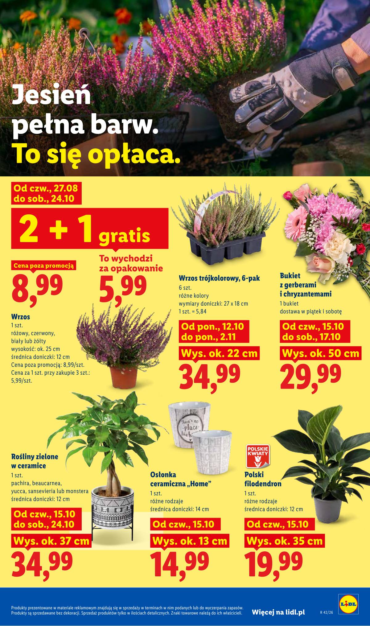 Lidl Lenkija - Gazetka 107 puslapis