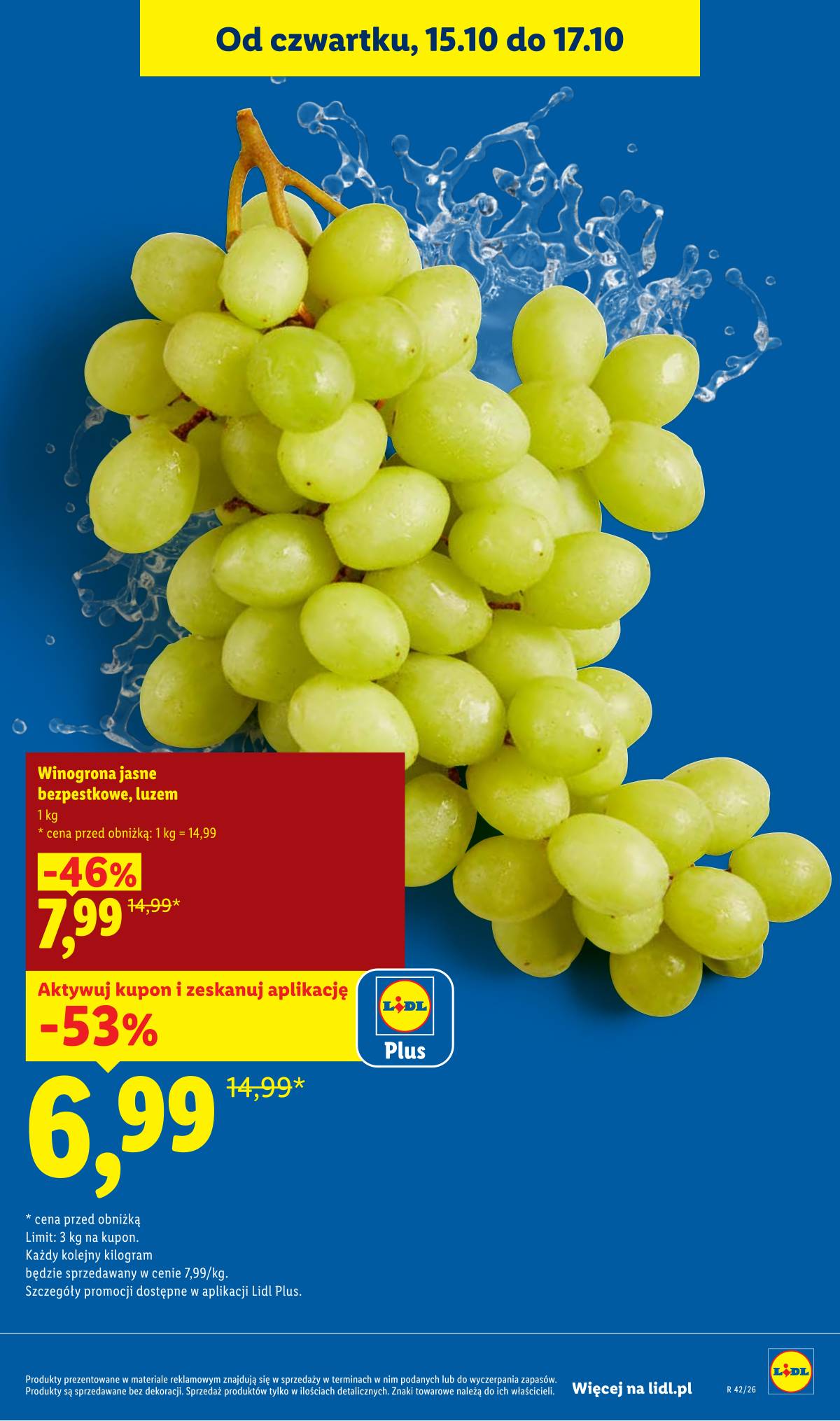 Lidl Lenkija - Gazetka 13 puslapis