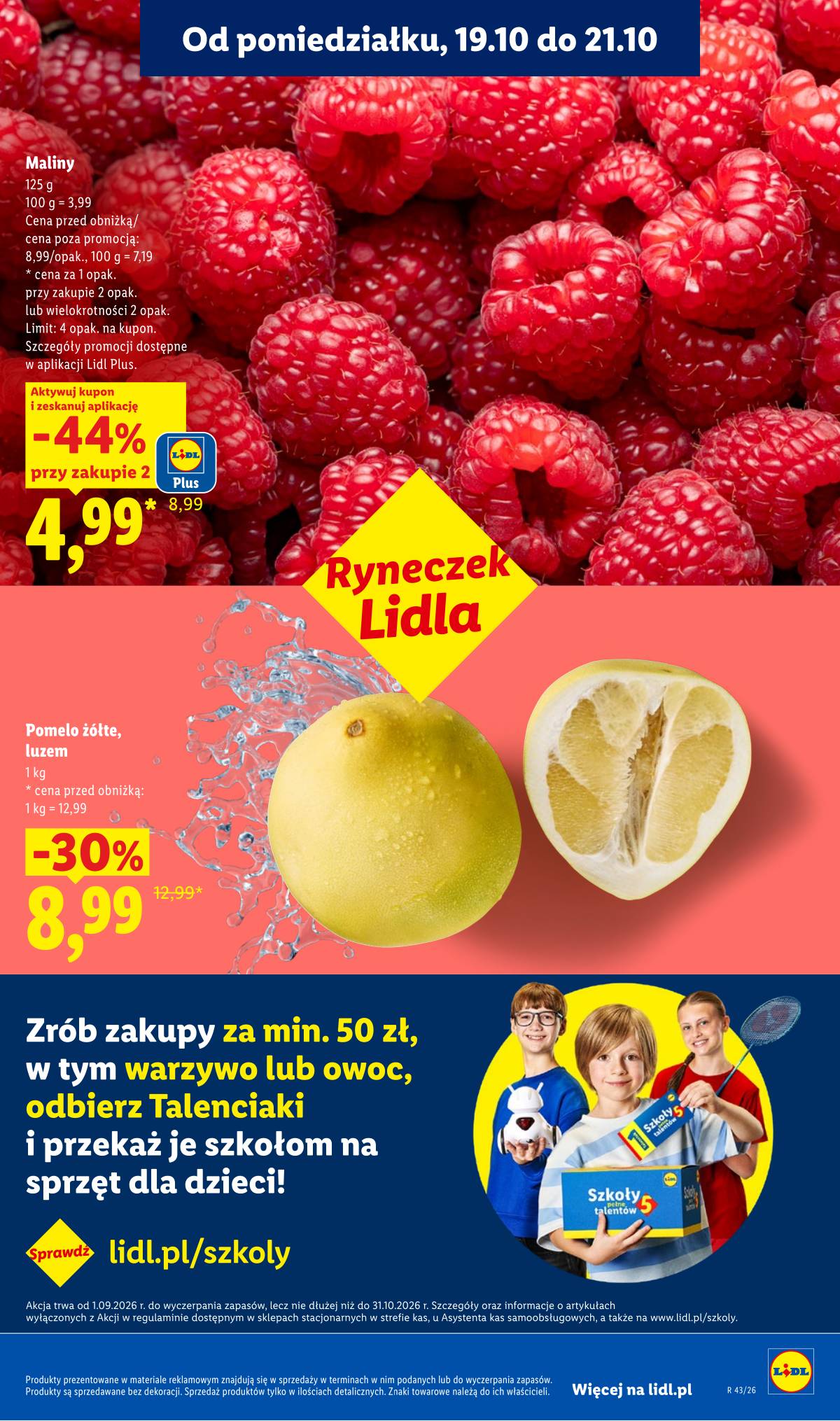 Lidl Lenkija - Gazetka 41 puslapis