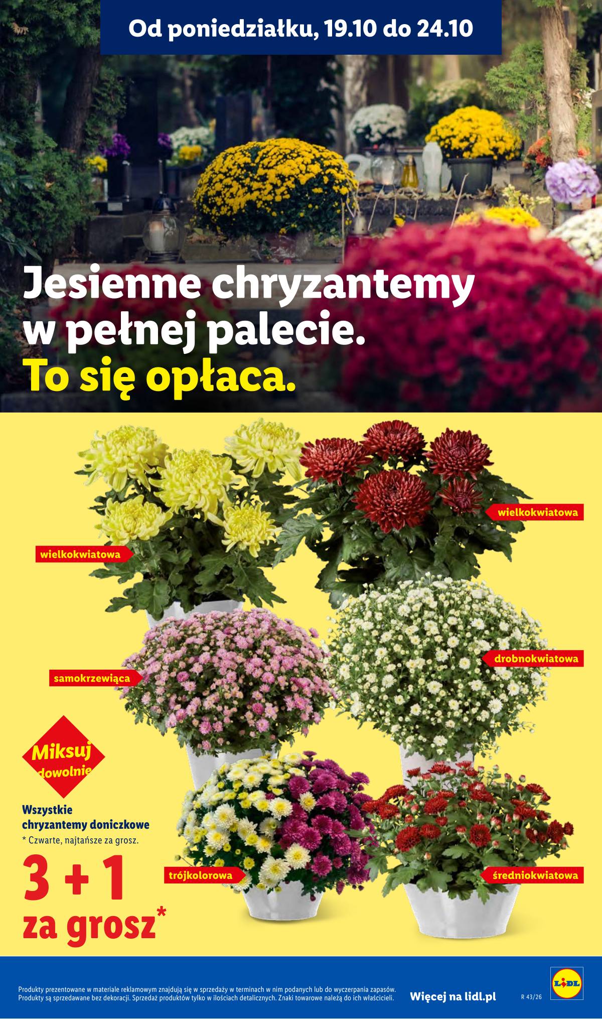 Lidl Lenkija - Gazetka 97 puslapis