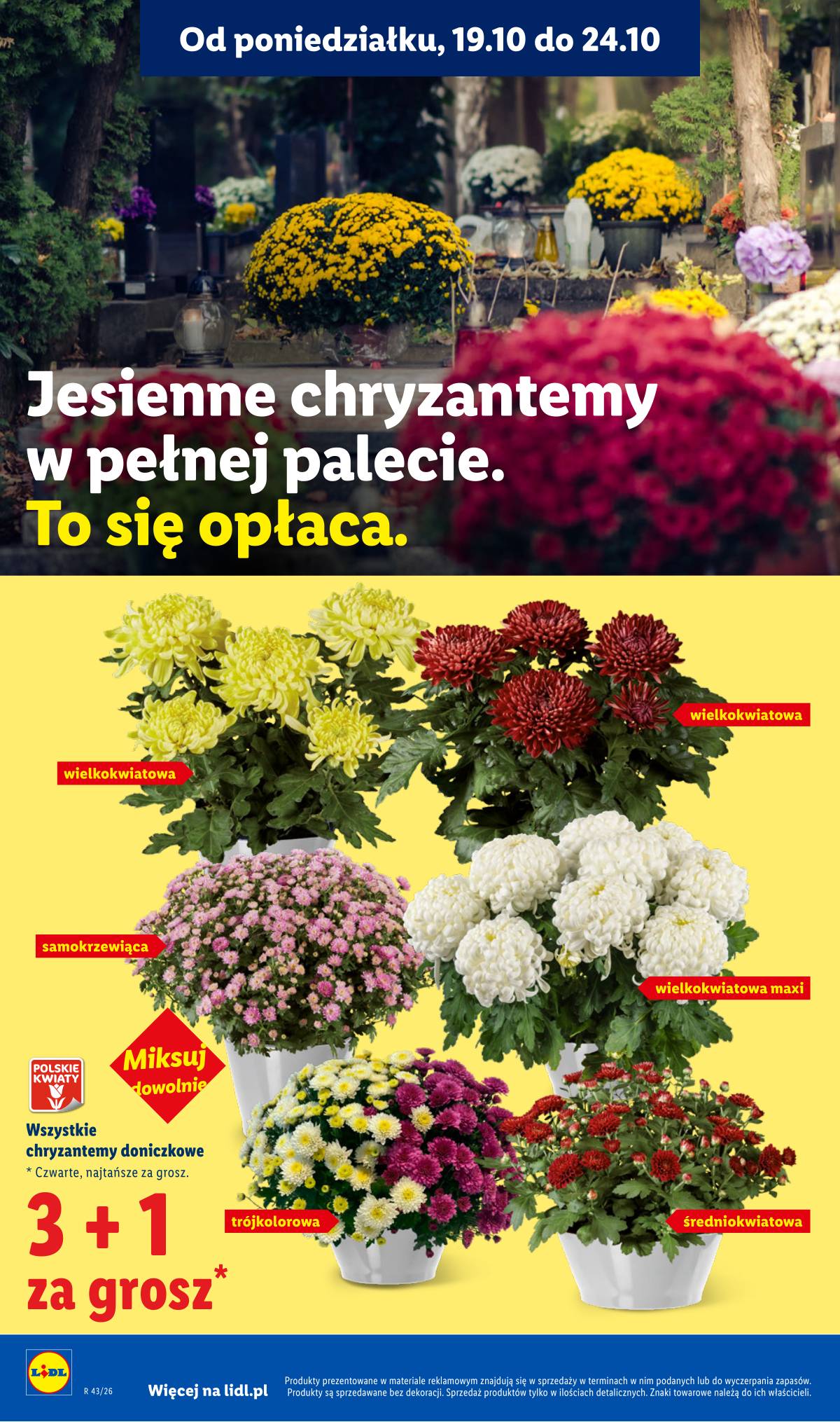 Lidl Lenkija - Gazetka 102 puslapis