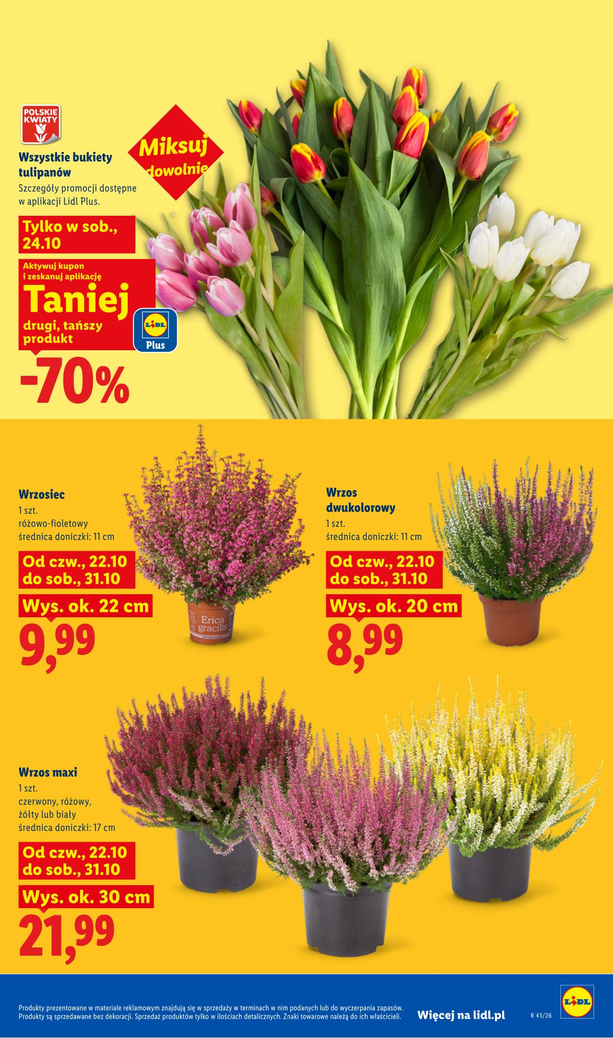 Lidl Lenkija - Gazetka 103 puslapis