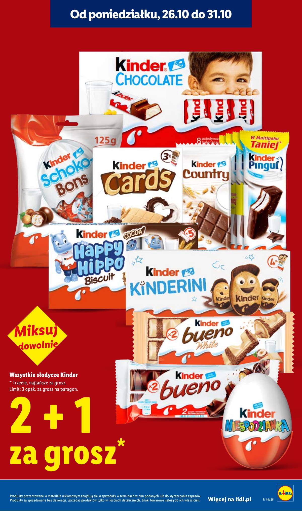 Lidl Lenkija - Gazetka 13 puslapis