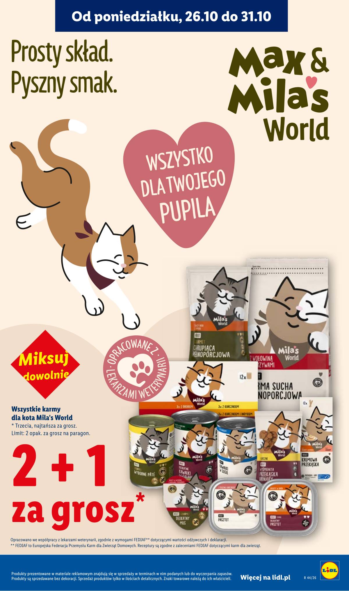 Lidl Lenkija - Gazetka 21 puslapis