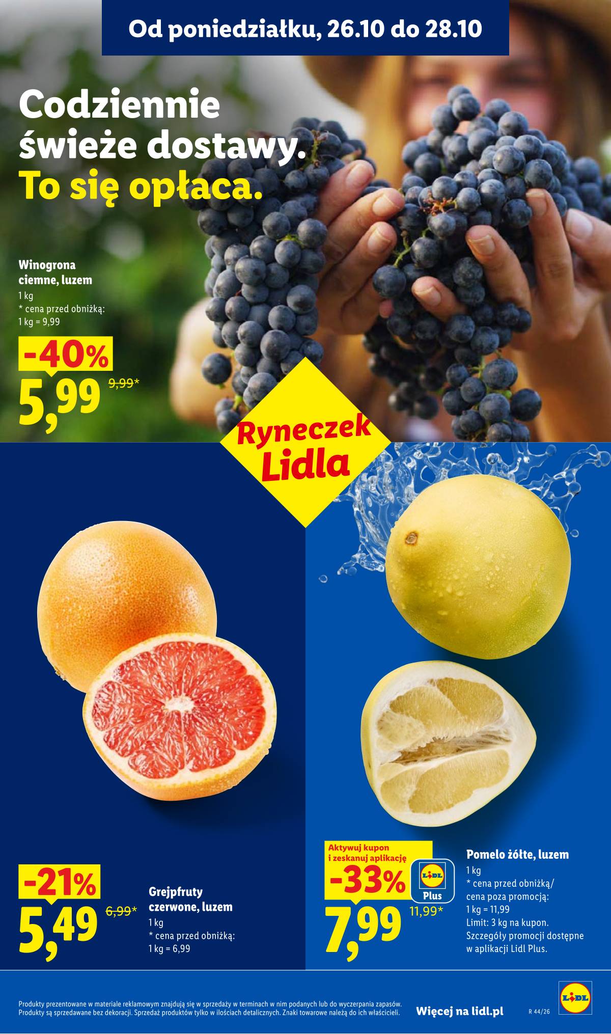 Lidl Lenkija - Gazetka 41 puslapis