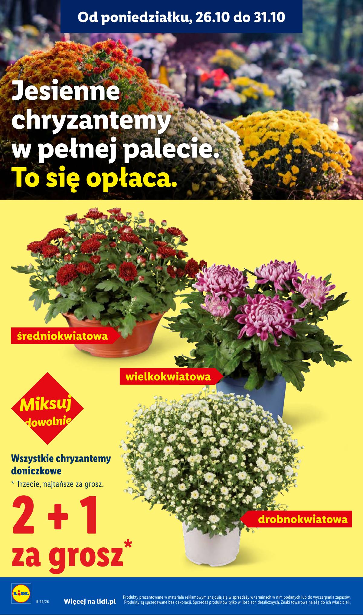 Lidl Lenkija - Gazetka 44 puslapis