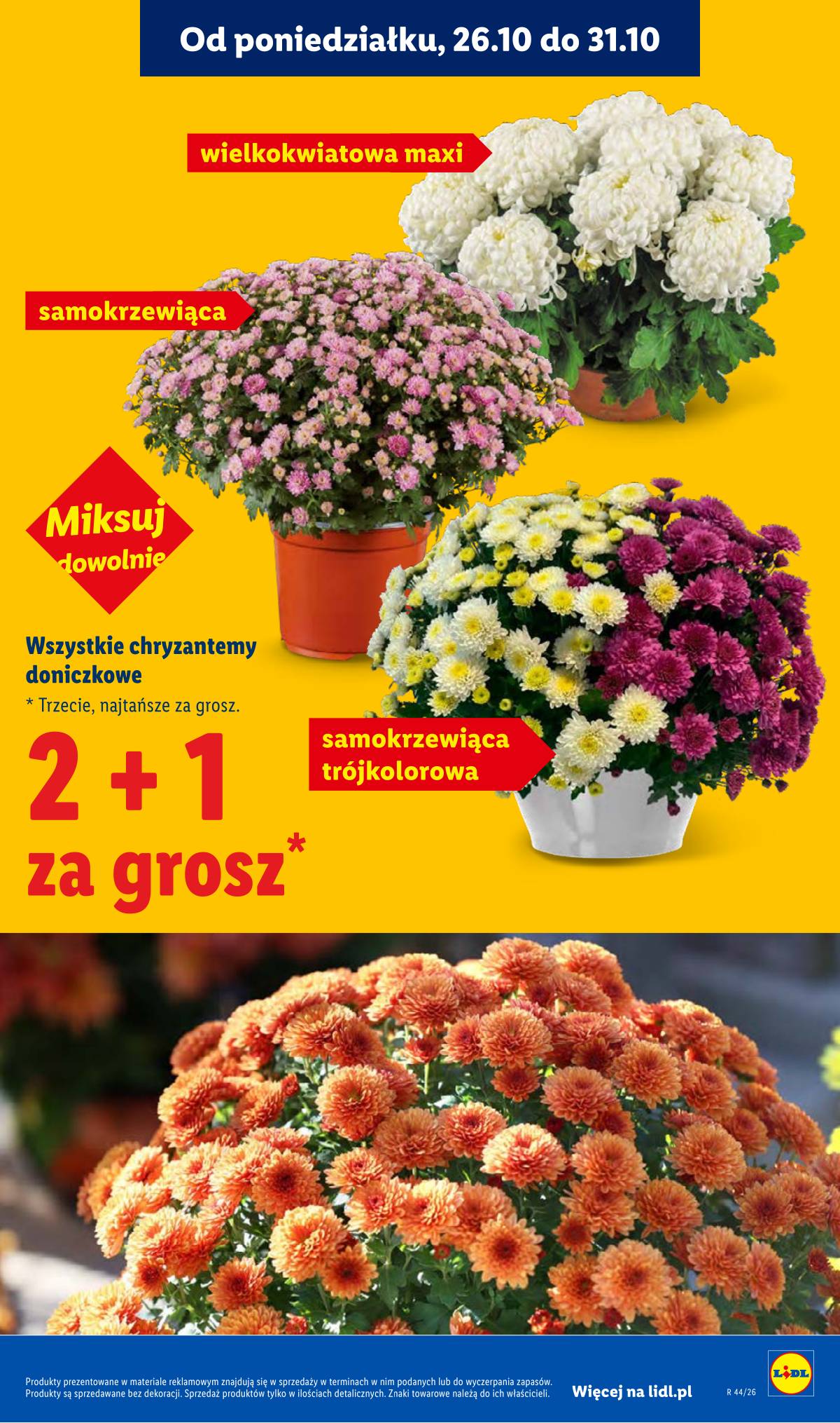 Lidl Lenkija - Gazetka 45 puslapis