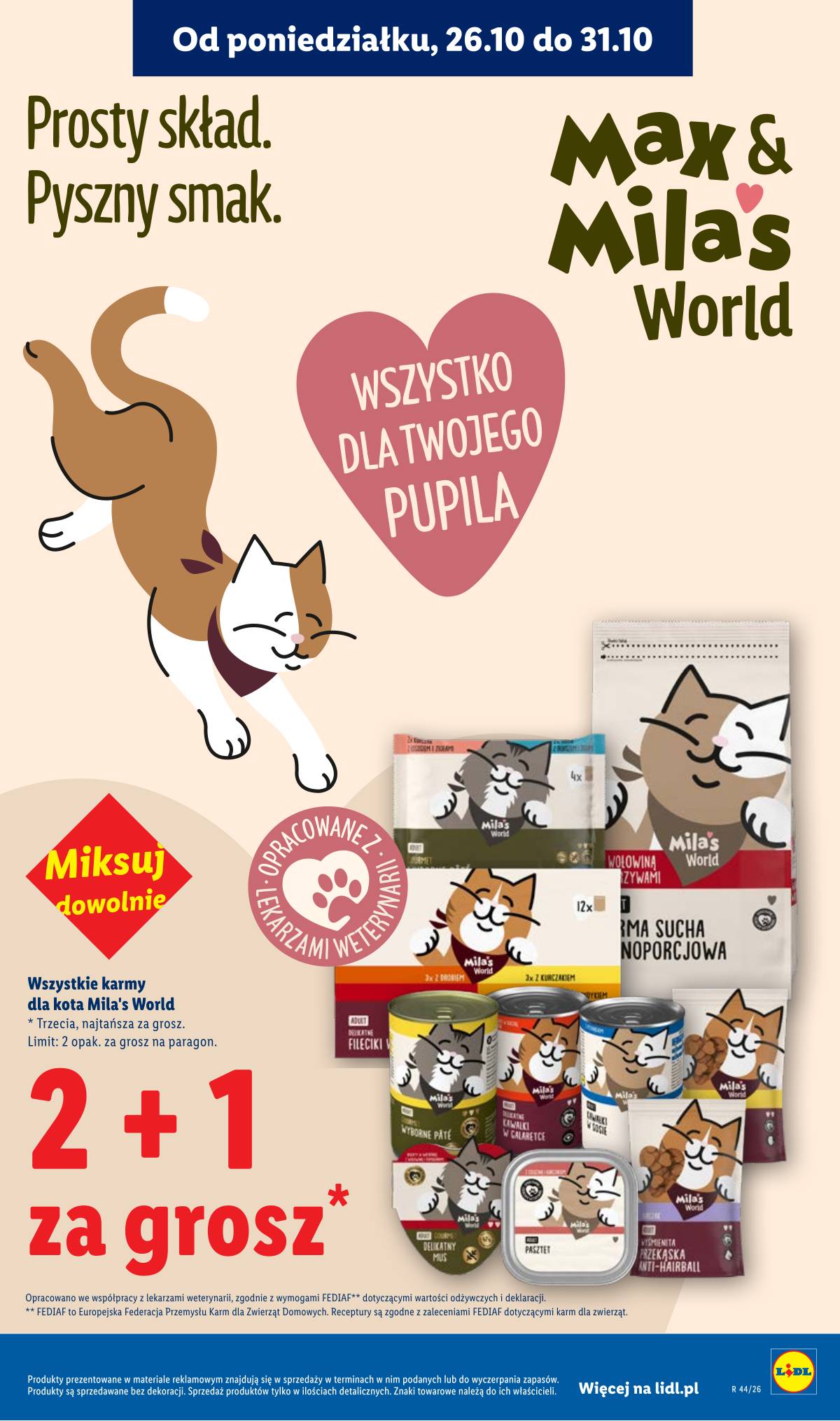 Lidl Lenkija - Gazetka 29 puslapis
