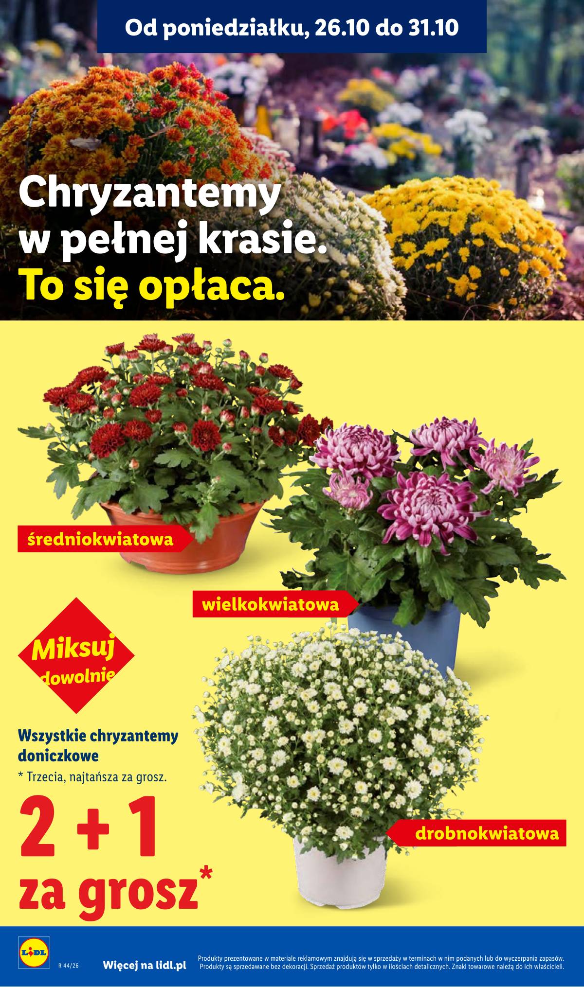Lidl Lenkija - Gazetka 4 puslapis